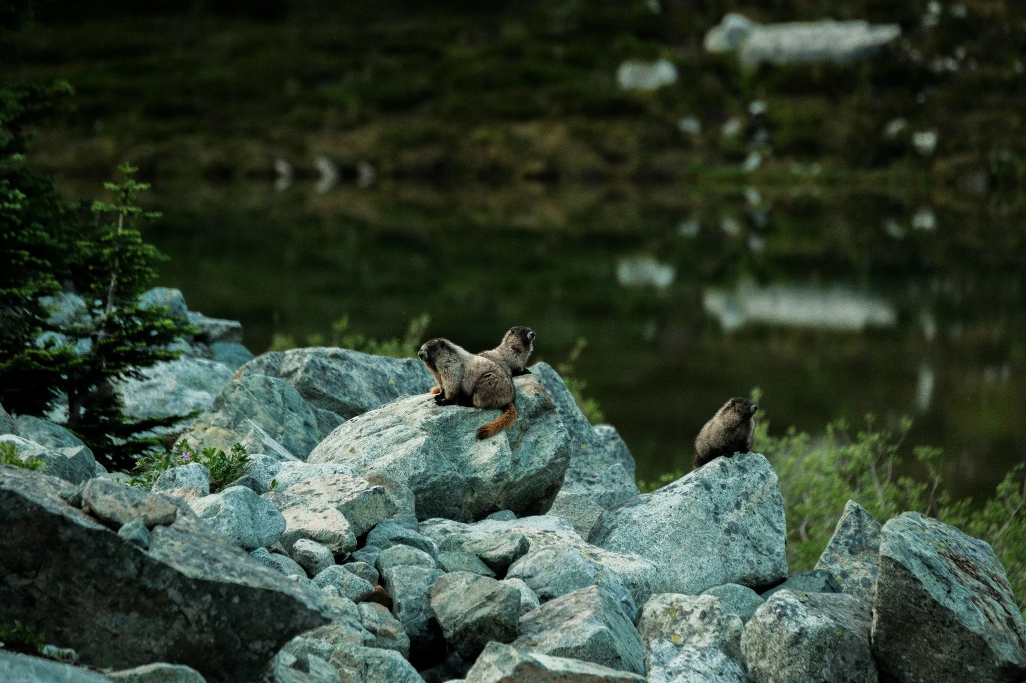 DSCF7610.jpg