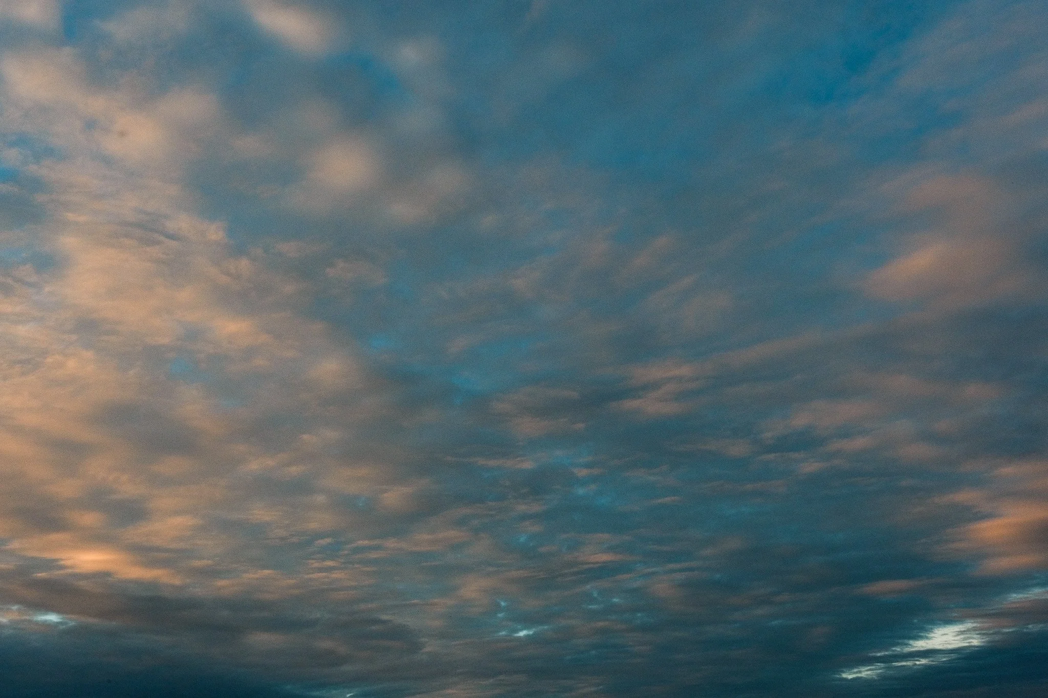 DSCF7842.jpg
