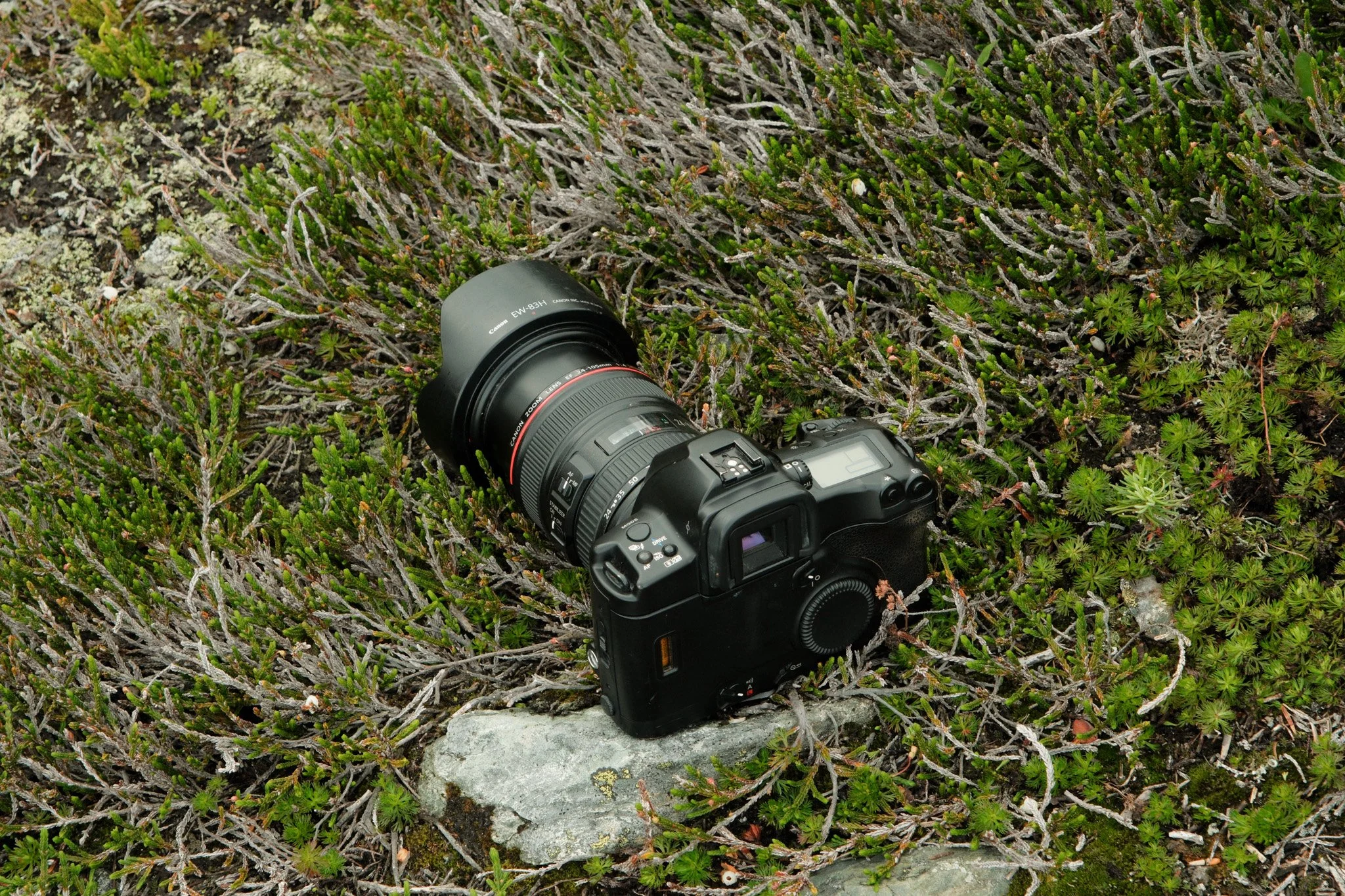 DSCF7571.jpg