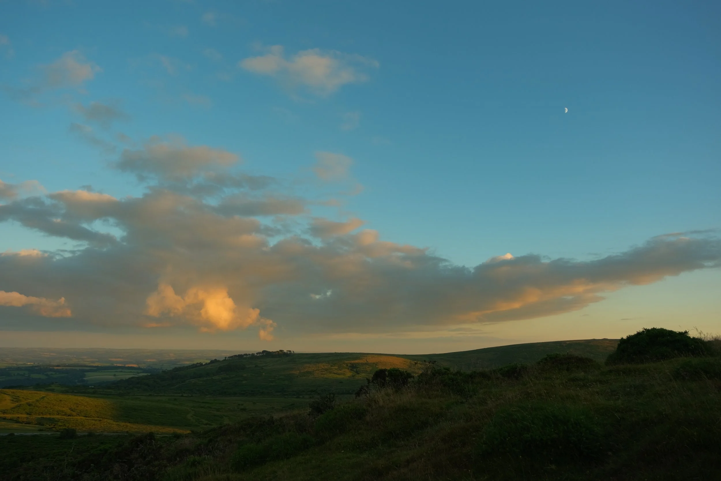 DSCF5430.jpg