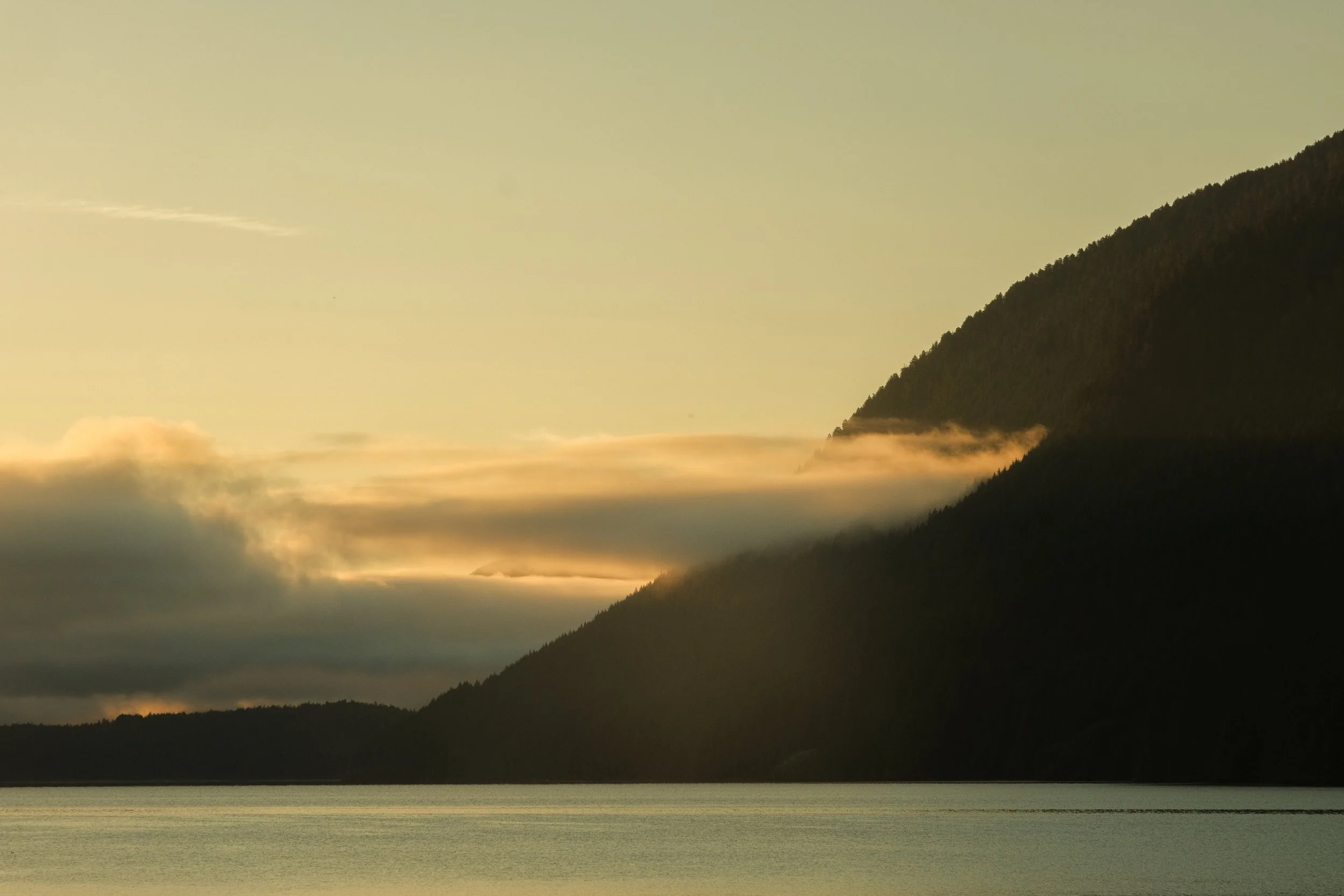 DSCF7945.jpg