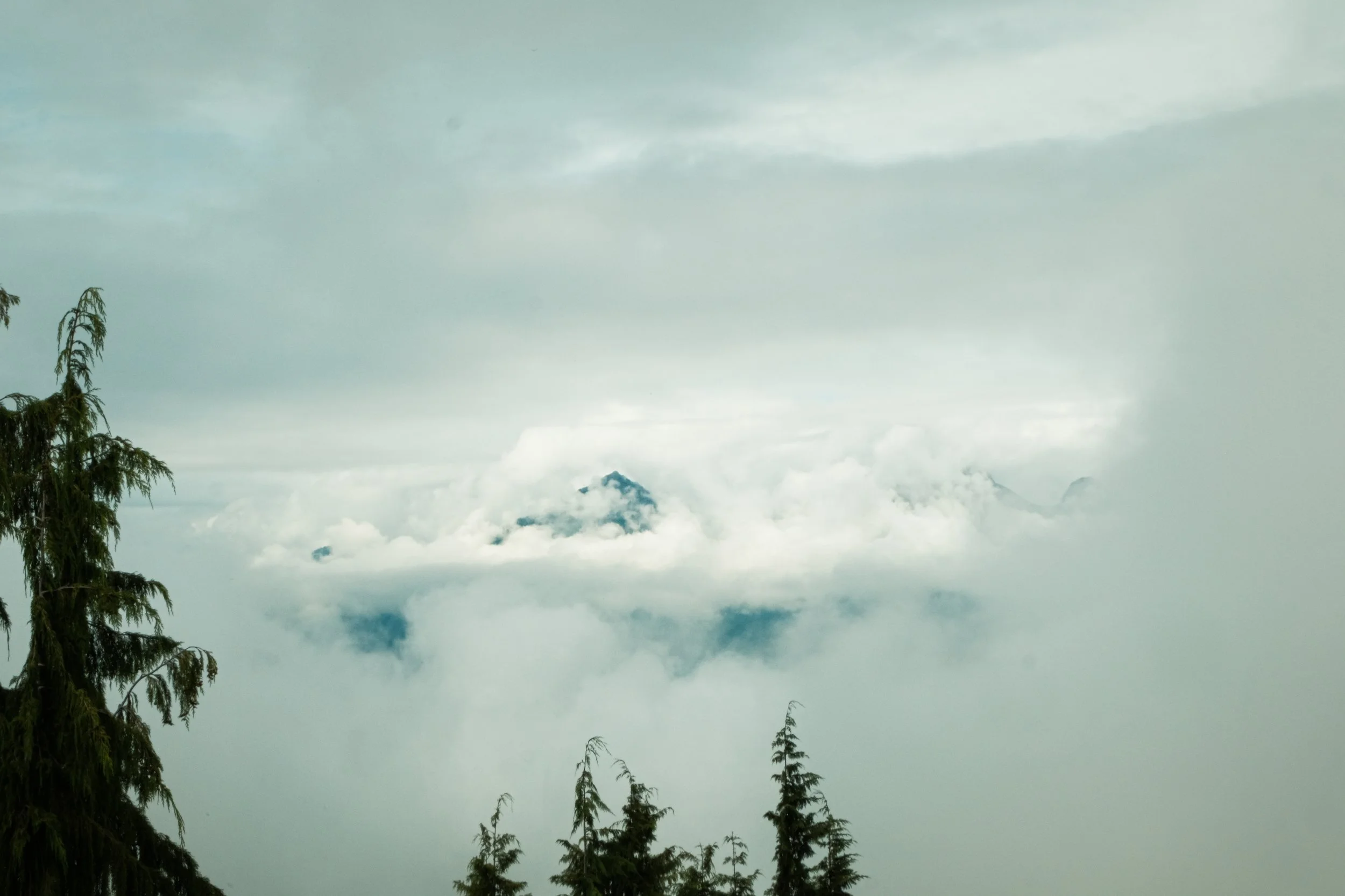 DSCF7742.jpg