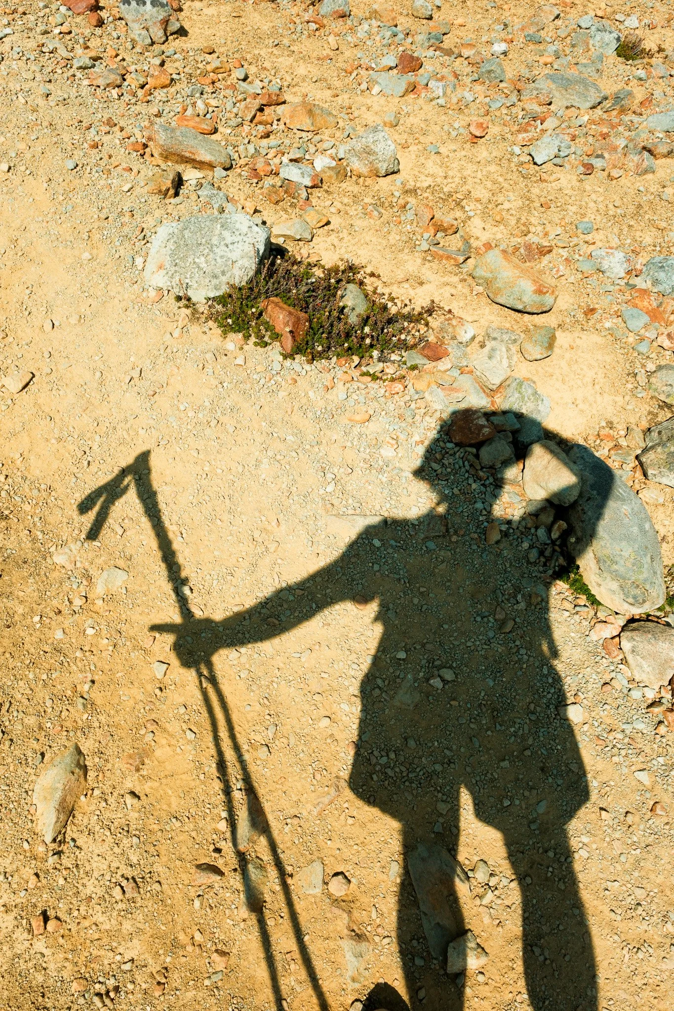 DSCF7194.jpg