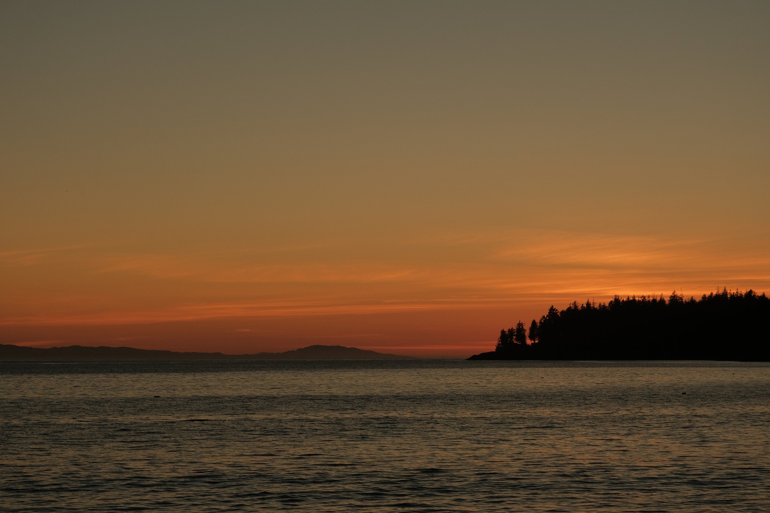 DSCF8095.jpg