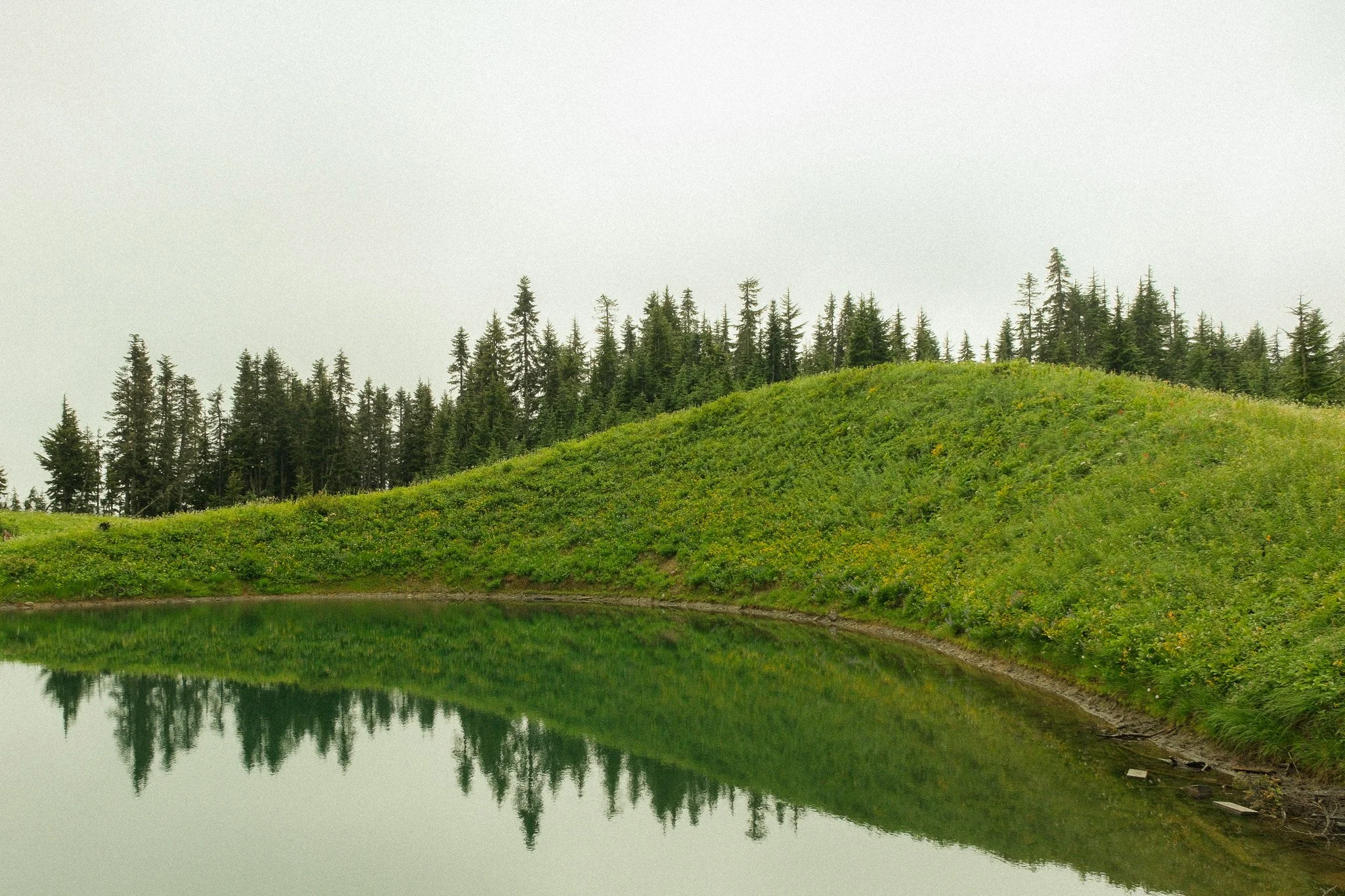 DSCF6988.jpg