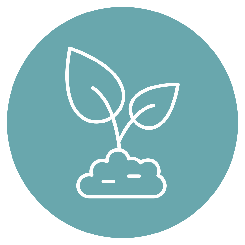 Icon of a young plant with two leaves growing from the soil, inside a teal circle.