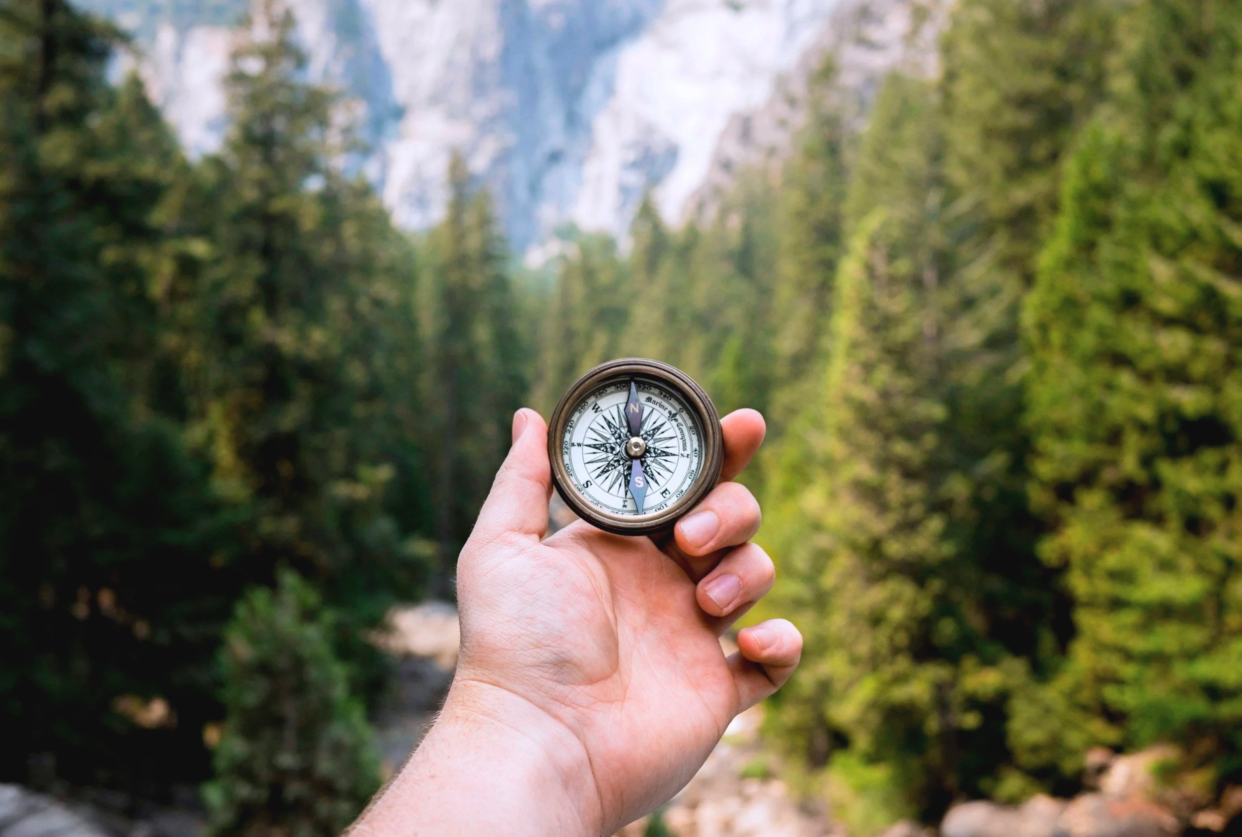 A person holding a compass in a forest with tall trees and mountains in the background.
