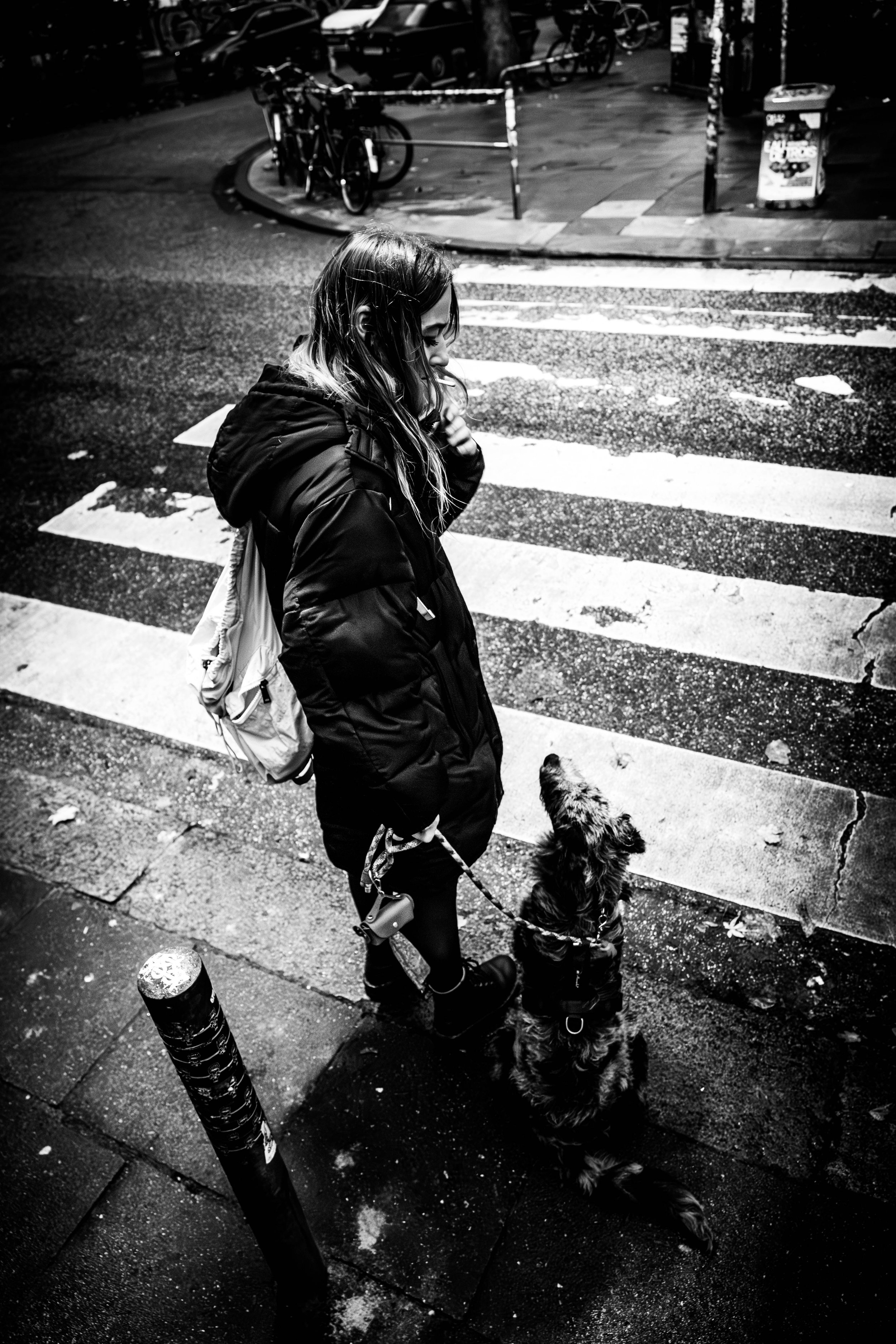 Eine junge Frau mit Jacke und Rucksack hält einen kleinen Hund auf einem Zebrastreifen bei Nacht in einer Stadt. Es ist schwarz-weiß fotografiert.