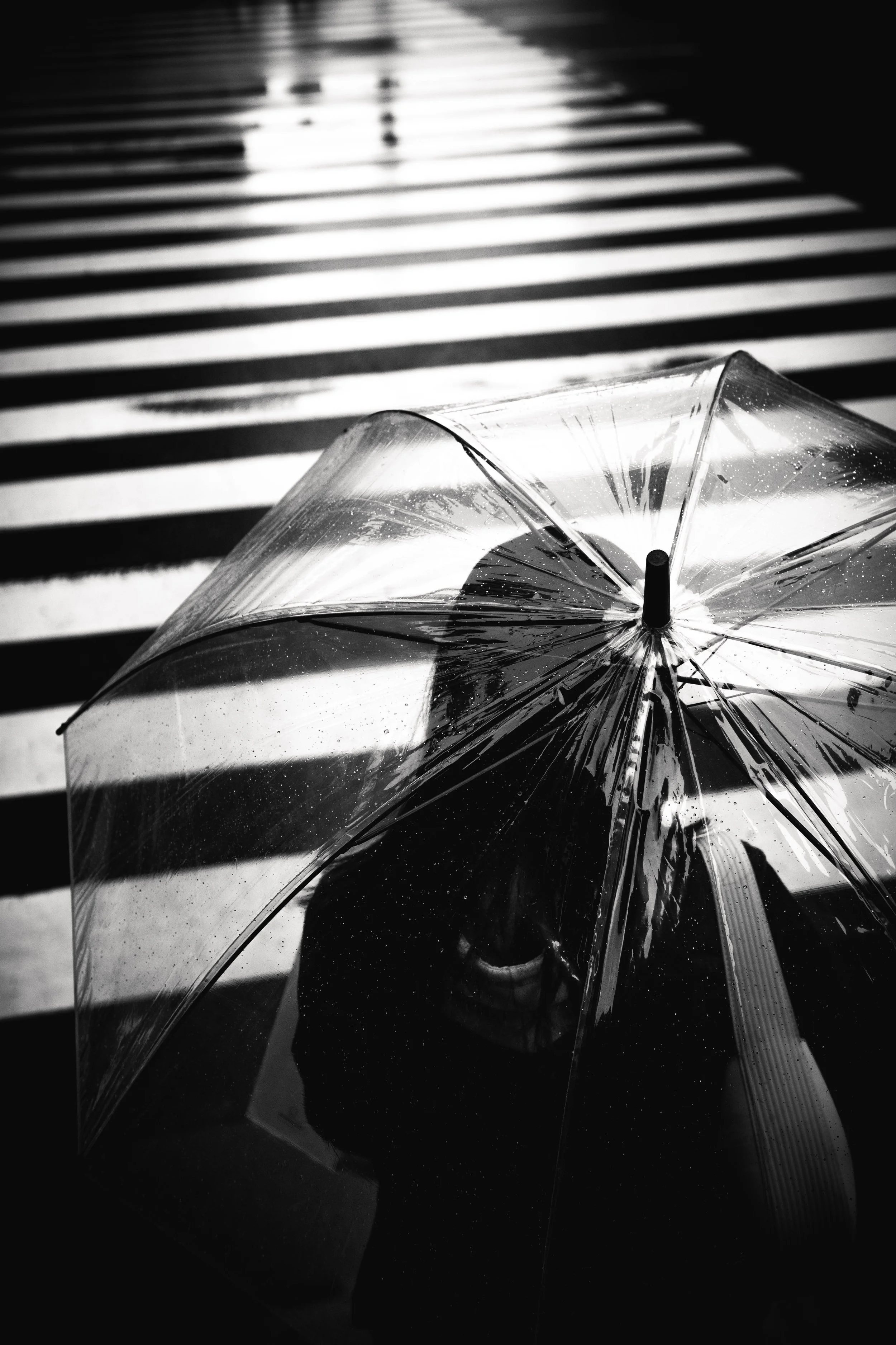 Ein durchsichtiger Regenschirm liegt auf einem Gehweg mit Zebrastreifen, im Schwarz-Weiß-Foto.