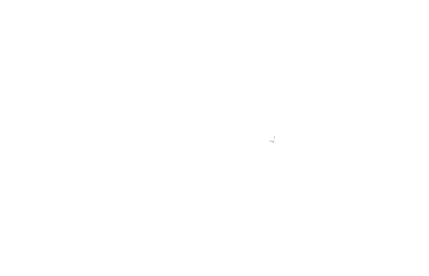Iron Wolves