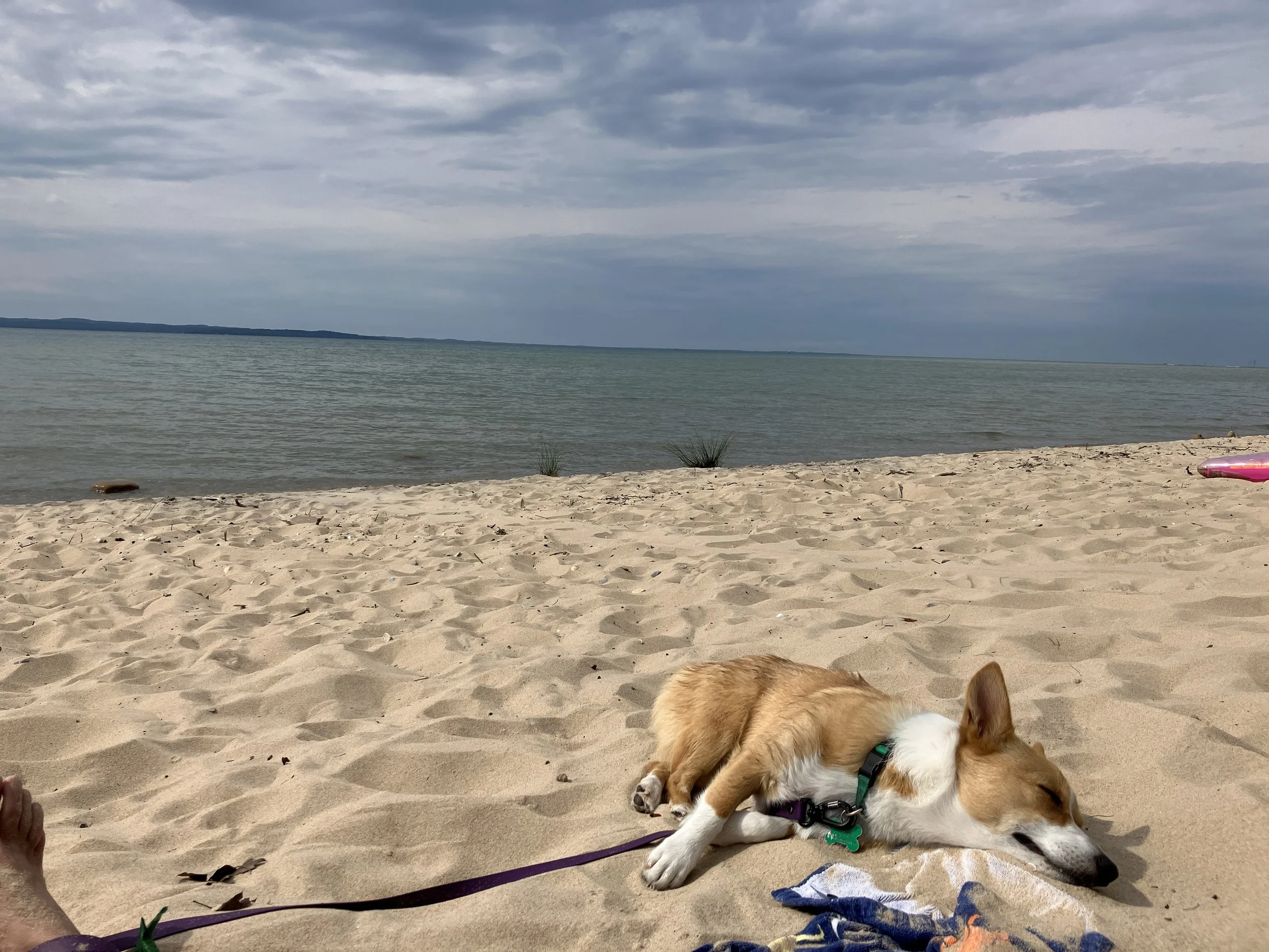 The Lazy Girl’s Guide to Summer Finances 