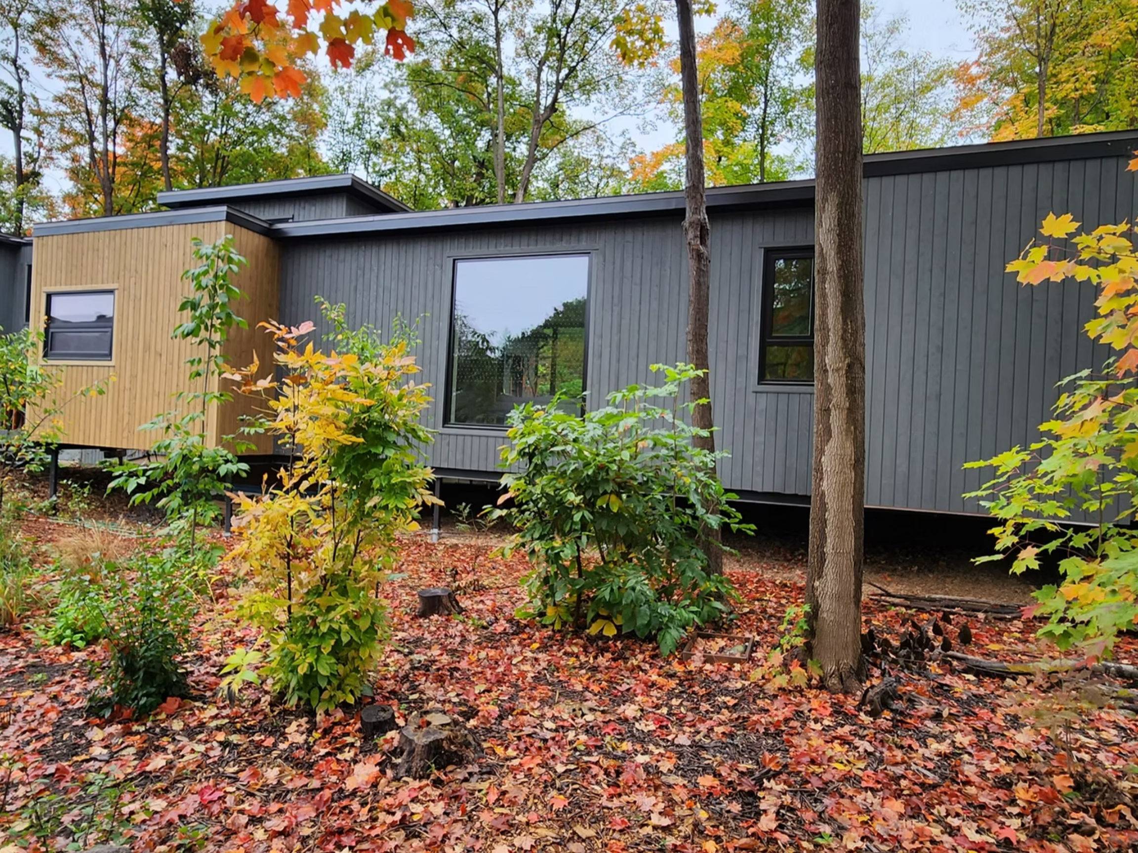 "Rothwell HARMonic building envelope exterior image with leaves and greenery finished.