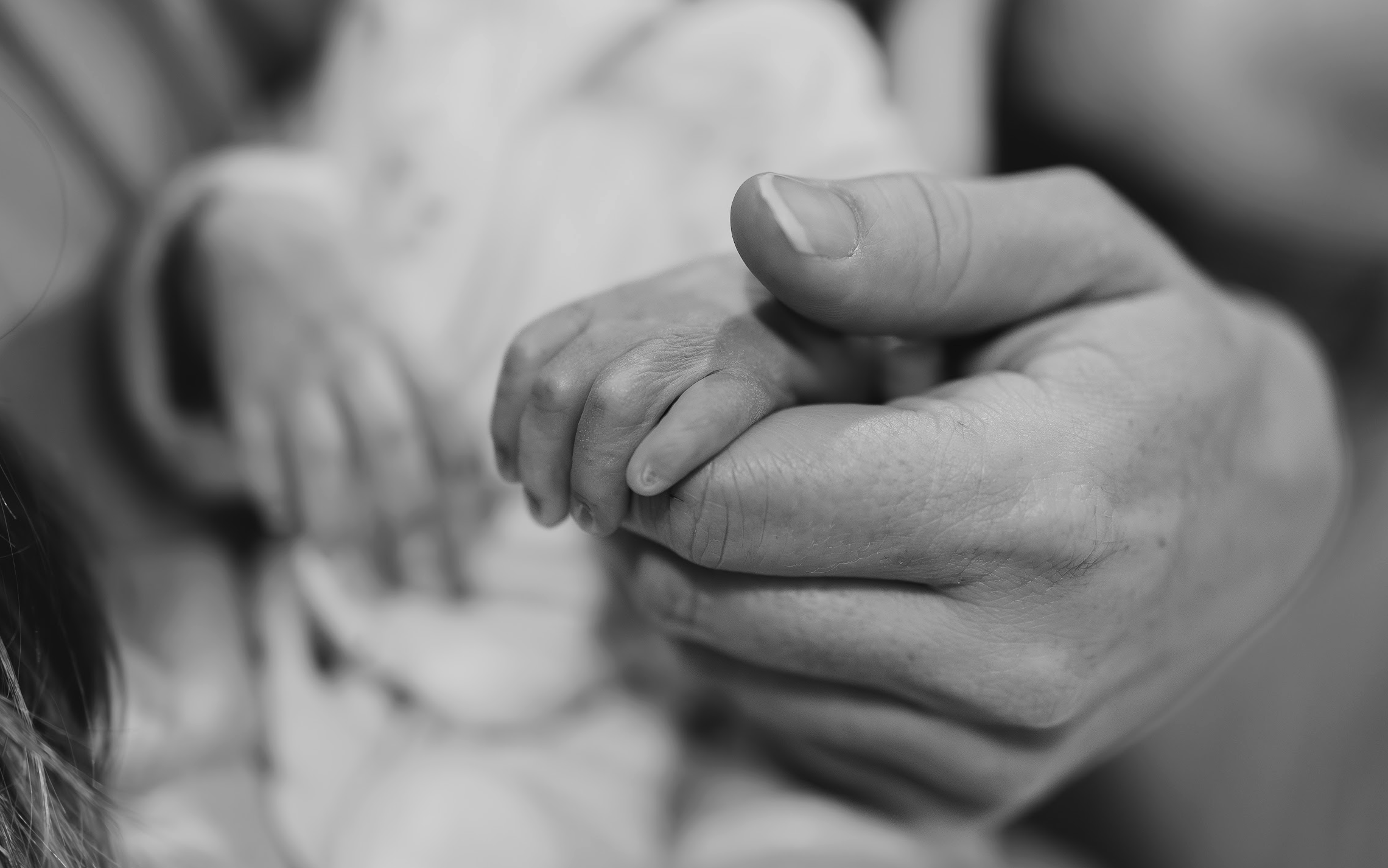 A close-up of an adult hand holding the tiny hand of a baby.