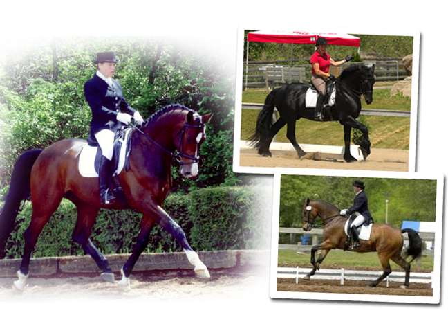 Collage of three images showing riders on horseback in equestrian competitions. The top right features a rider in a red shirt and helmet on a black horse in an outdoor arena with a red-and-white tent in the background. The bottom right shows a rider in formal riding attire on a brown horse in an outdoor competition. The large left image depicts a rider in formal riding attire and top hat on a bay horse in a wooded outdoor arena.