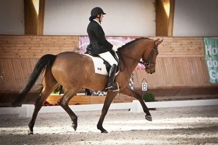 Eleonore Elstone wins CPEDI Calgary 