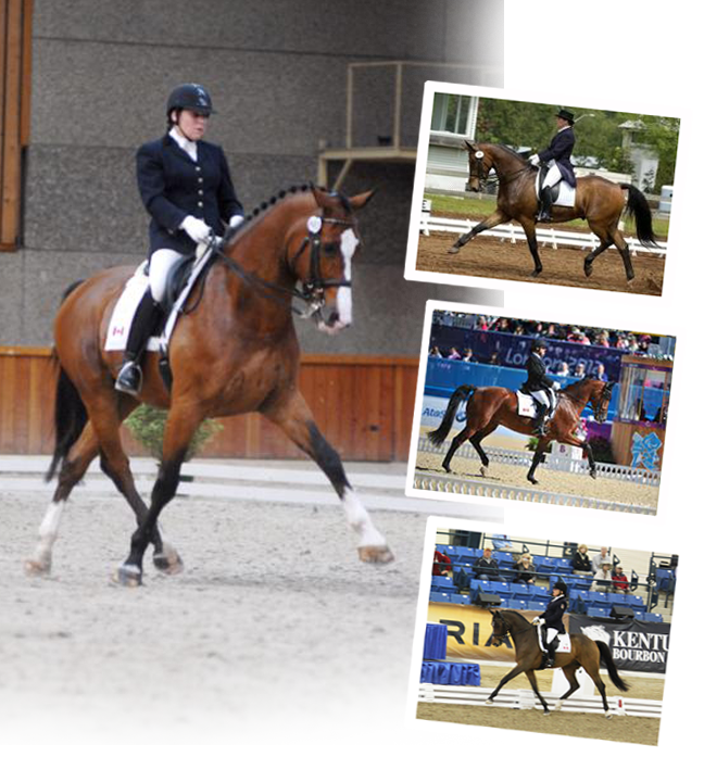Eleonore Elstone Dressage Coach Langley