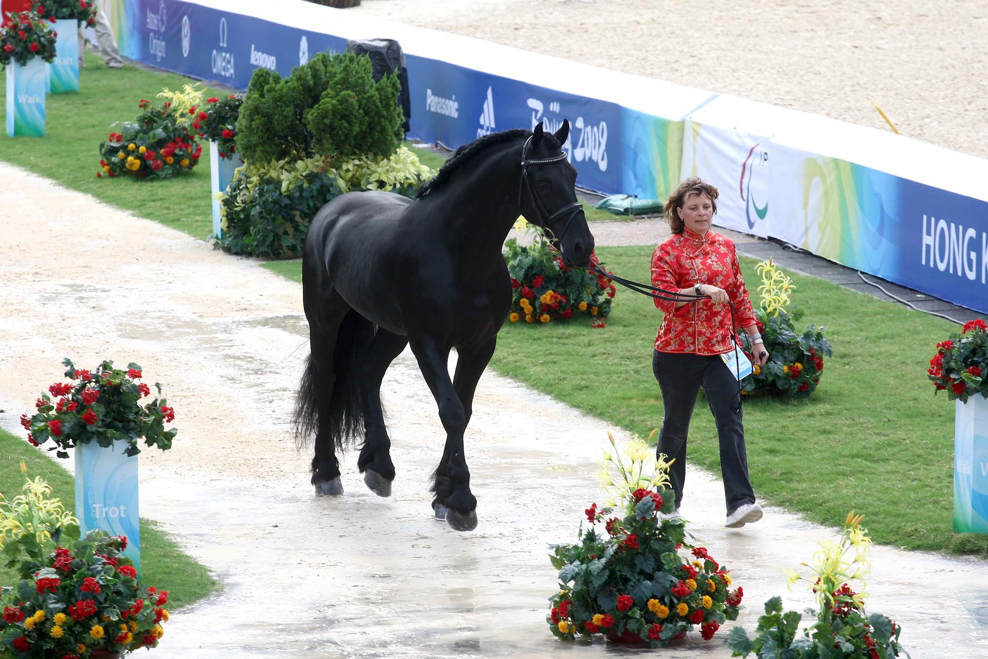 Eleonore Elstone Dressage