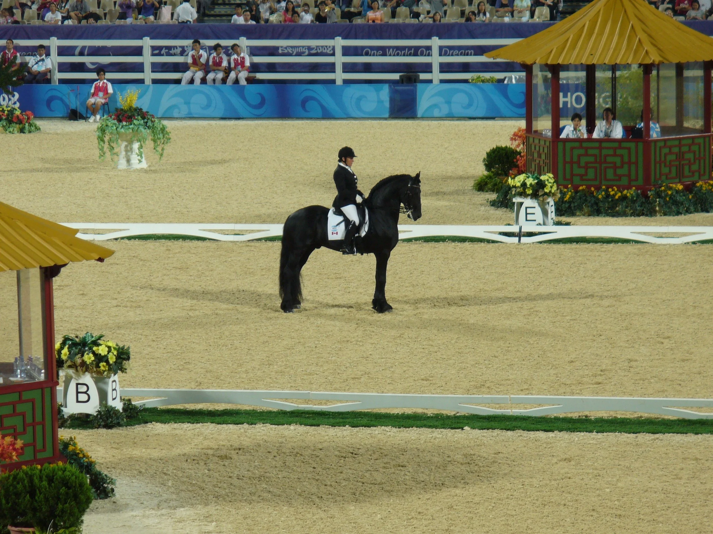 A rider on a black horse in an equestrian arena with decorative structures, flower arrangements, and spectators in the background, during an international equestrian event.