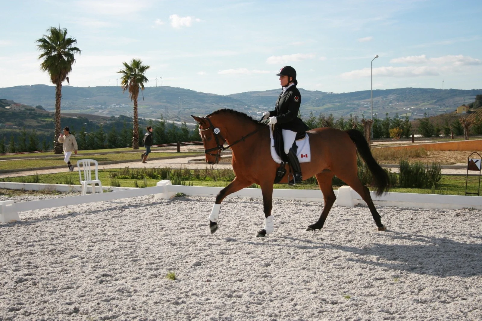 Eleonore Elstone Dressage