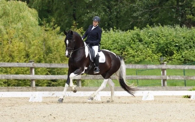Eleonore Elstone Dressage