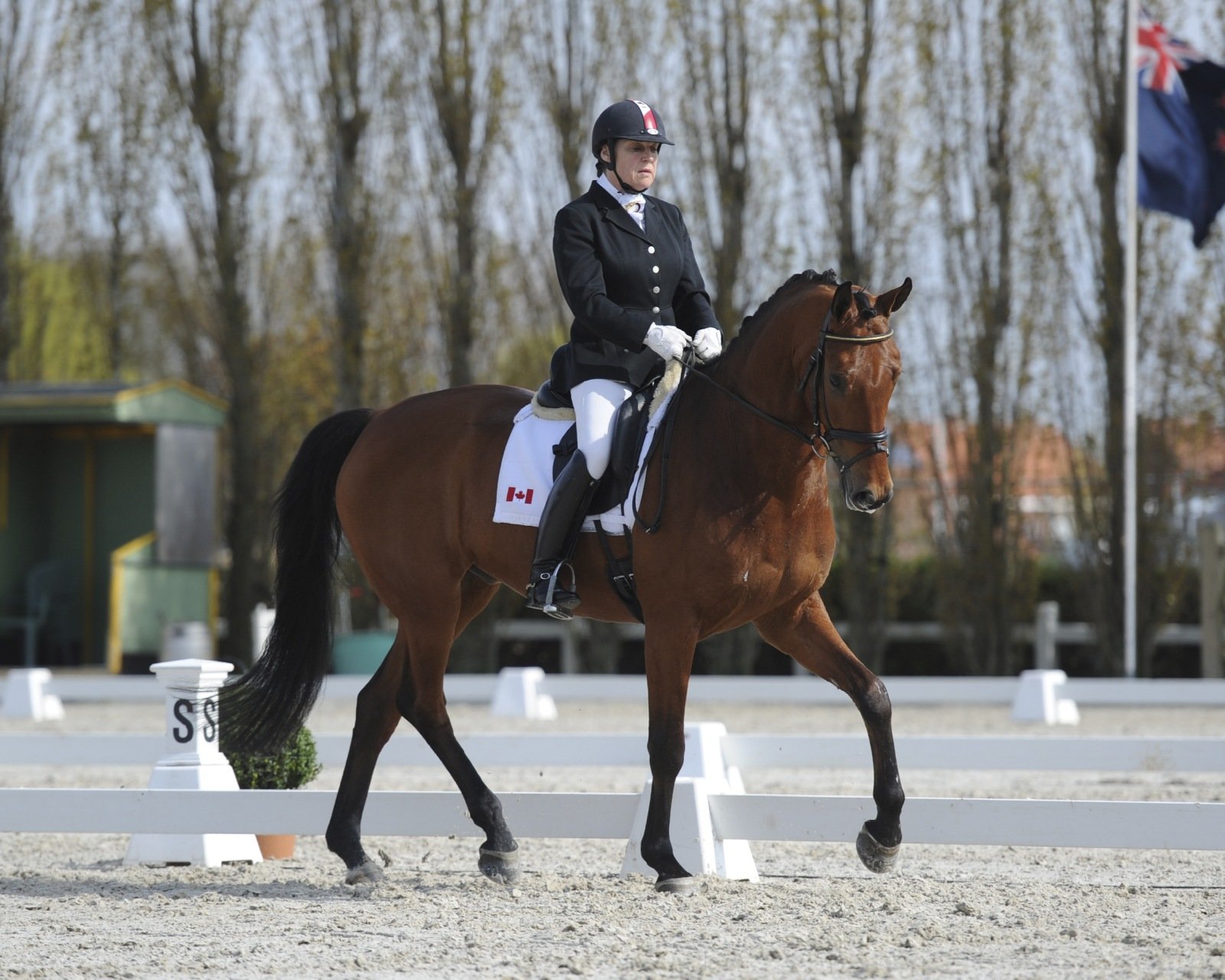 Eleonore Elstone Dressage