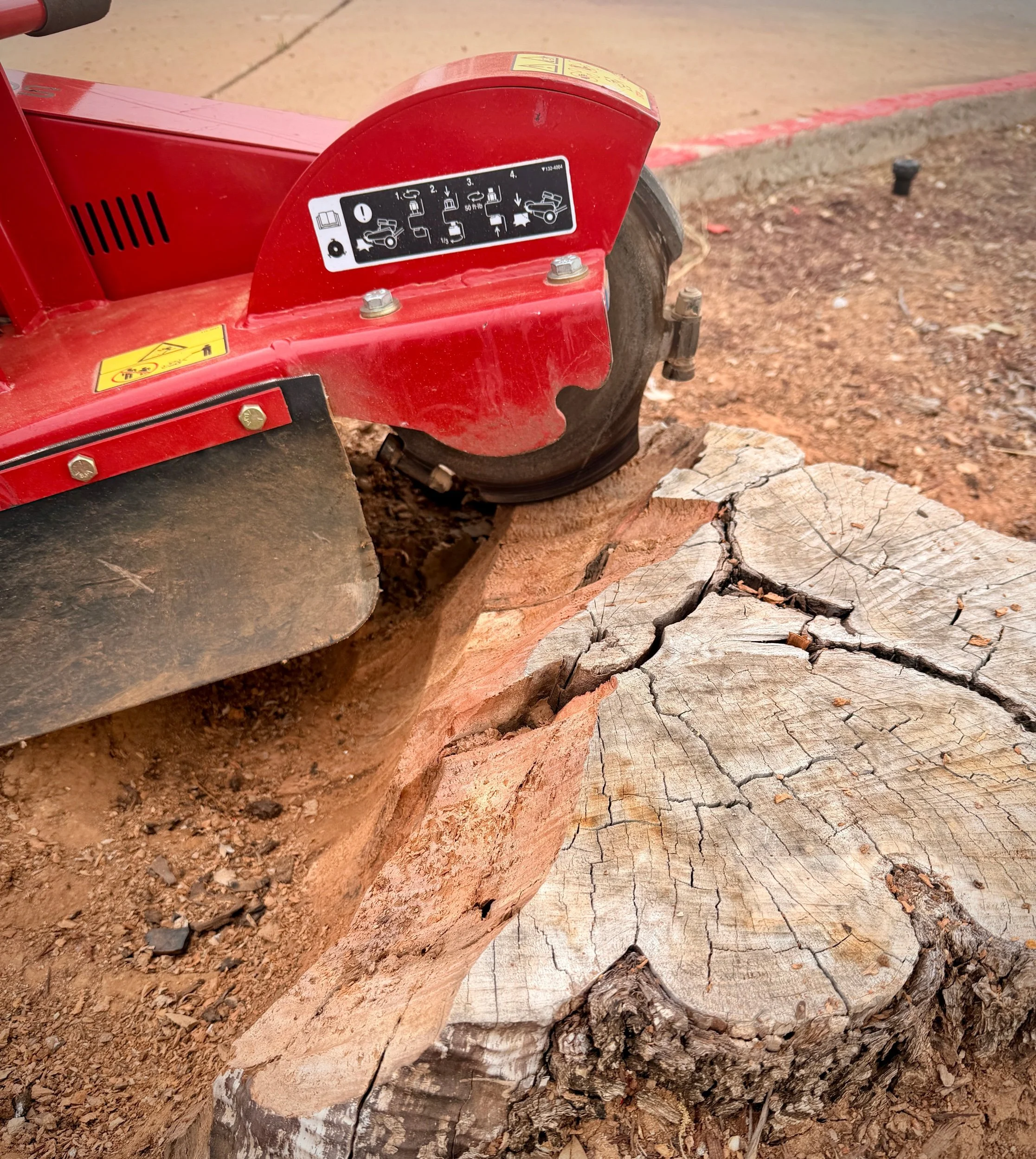 Stump Grinding & Removal