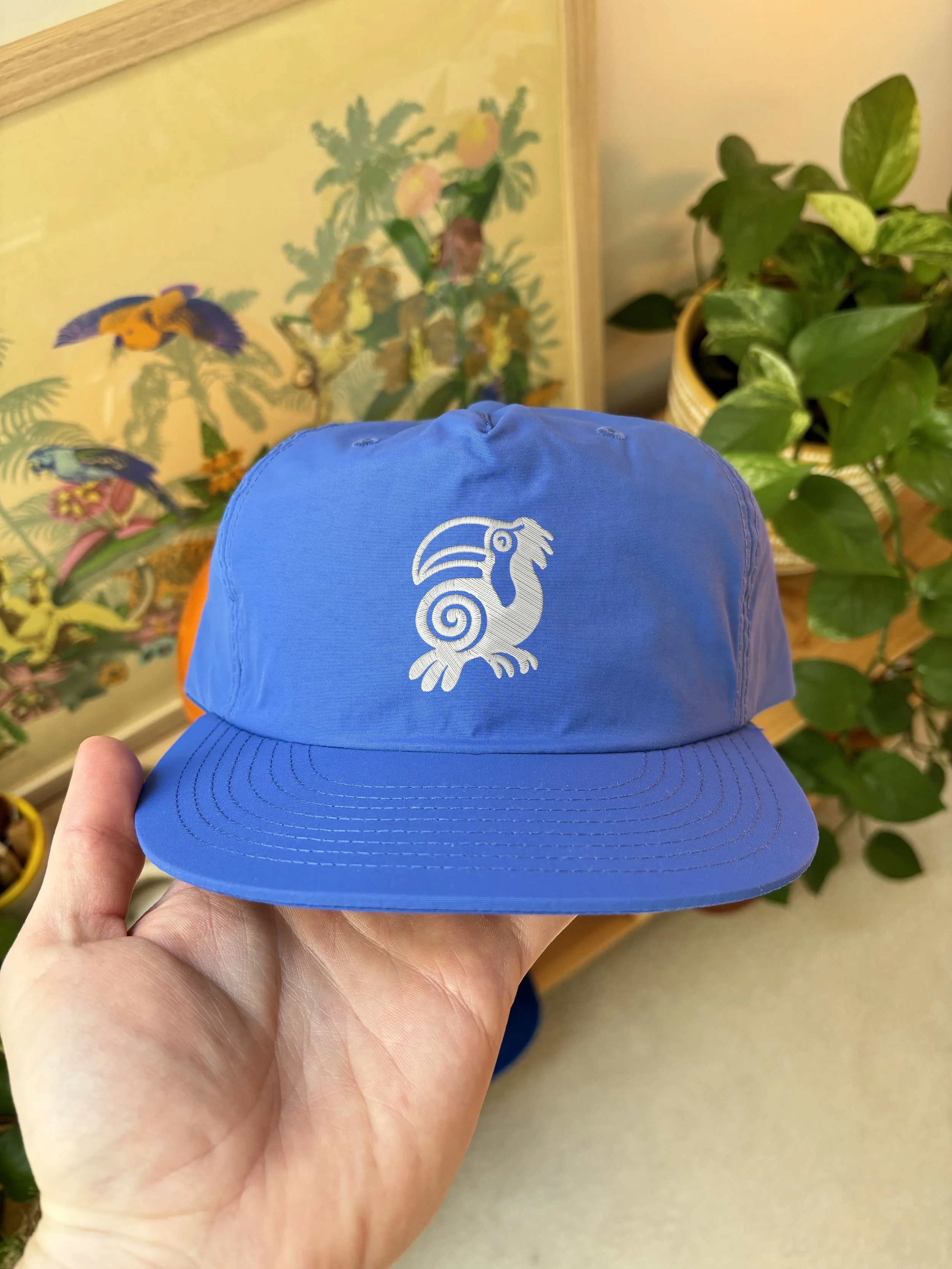 fj logo blue hat social.jpg