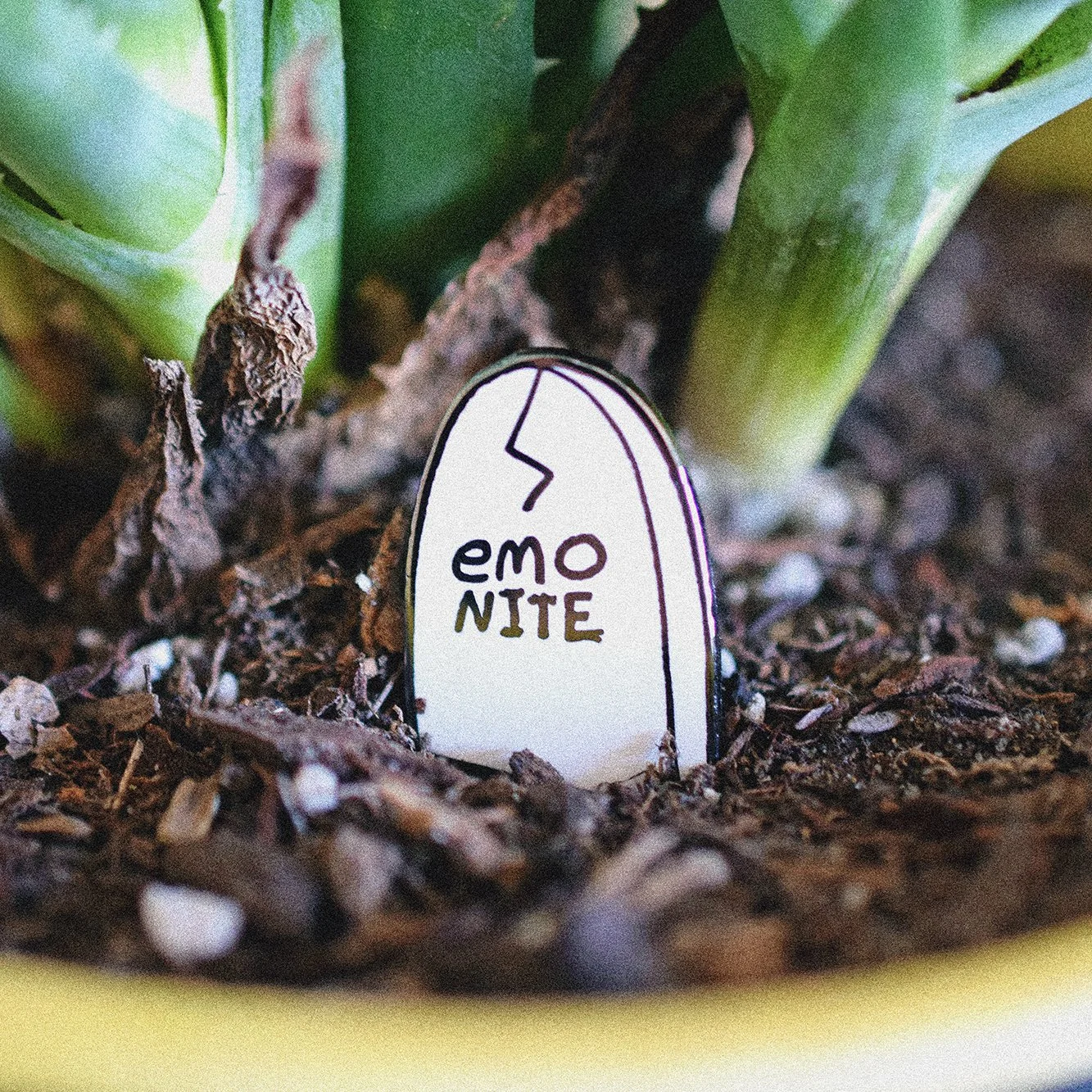 EMo NIte Pin.jpg
