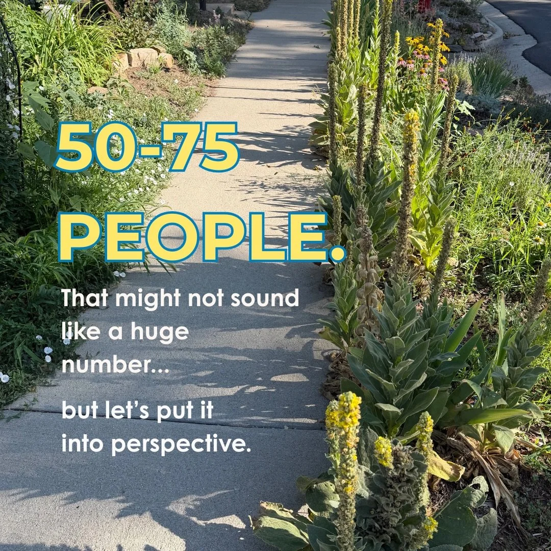 Sometimes a number is more meaningful when you picture the people behind it.

50&ndash;75 people in a room is a lot of people.

Knowing that many people are regularly pressing play on these local conversations makes me incredibly grateful for what @t