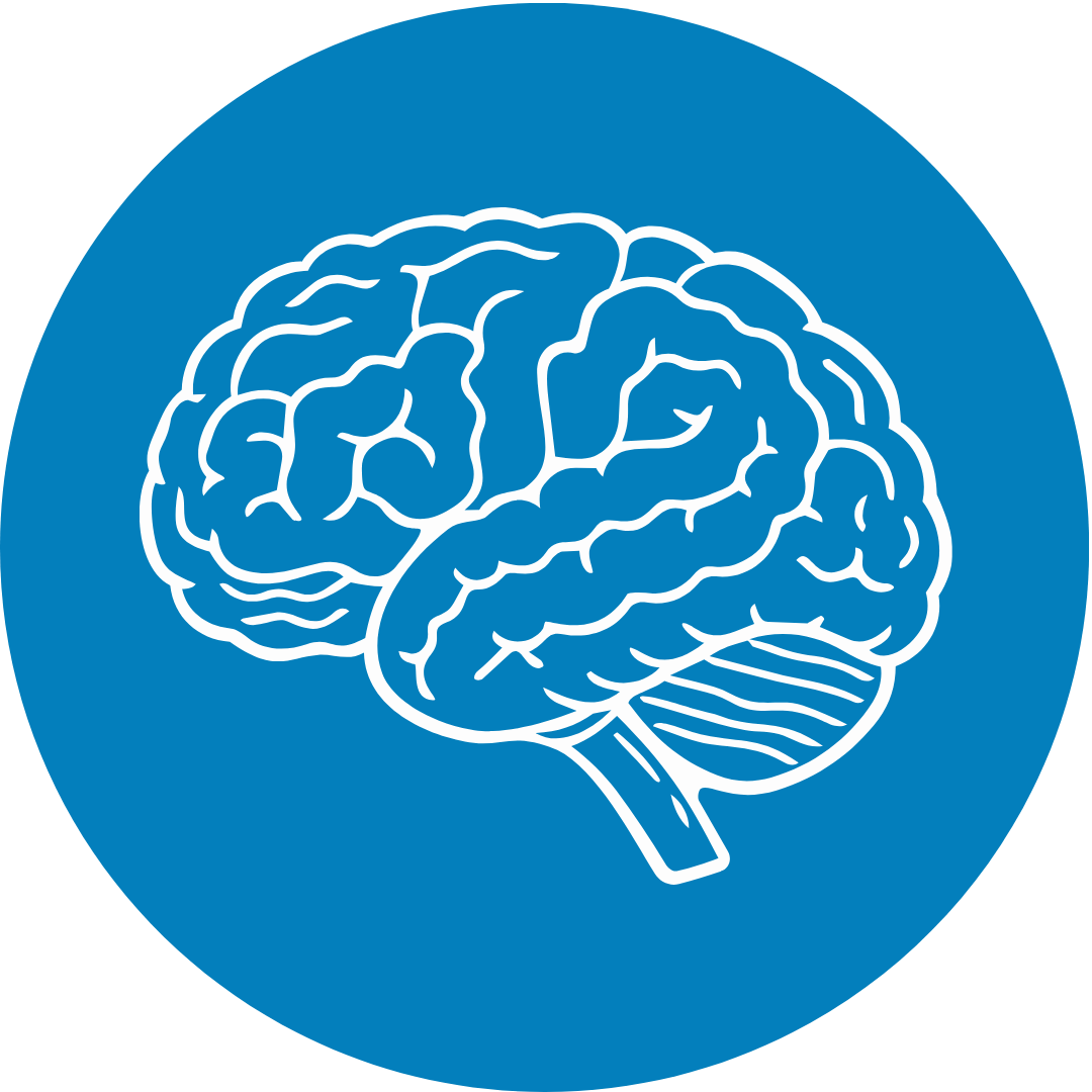 Brain icon showing physical, mental, and emotional health