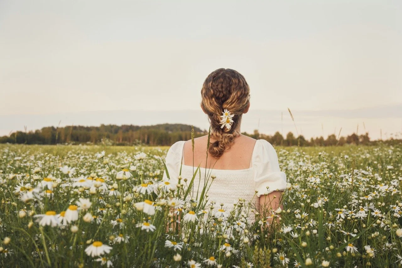 Woman sitting in a field of white flowers, viewed from behind