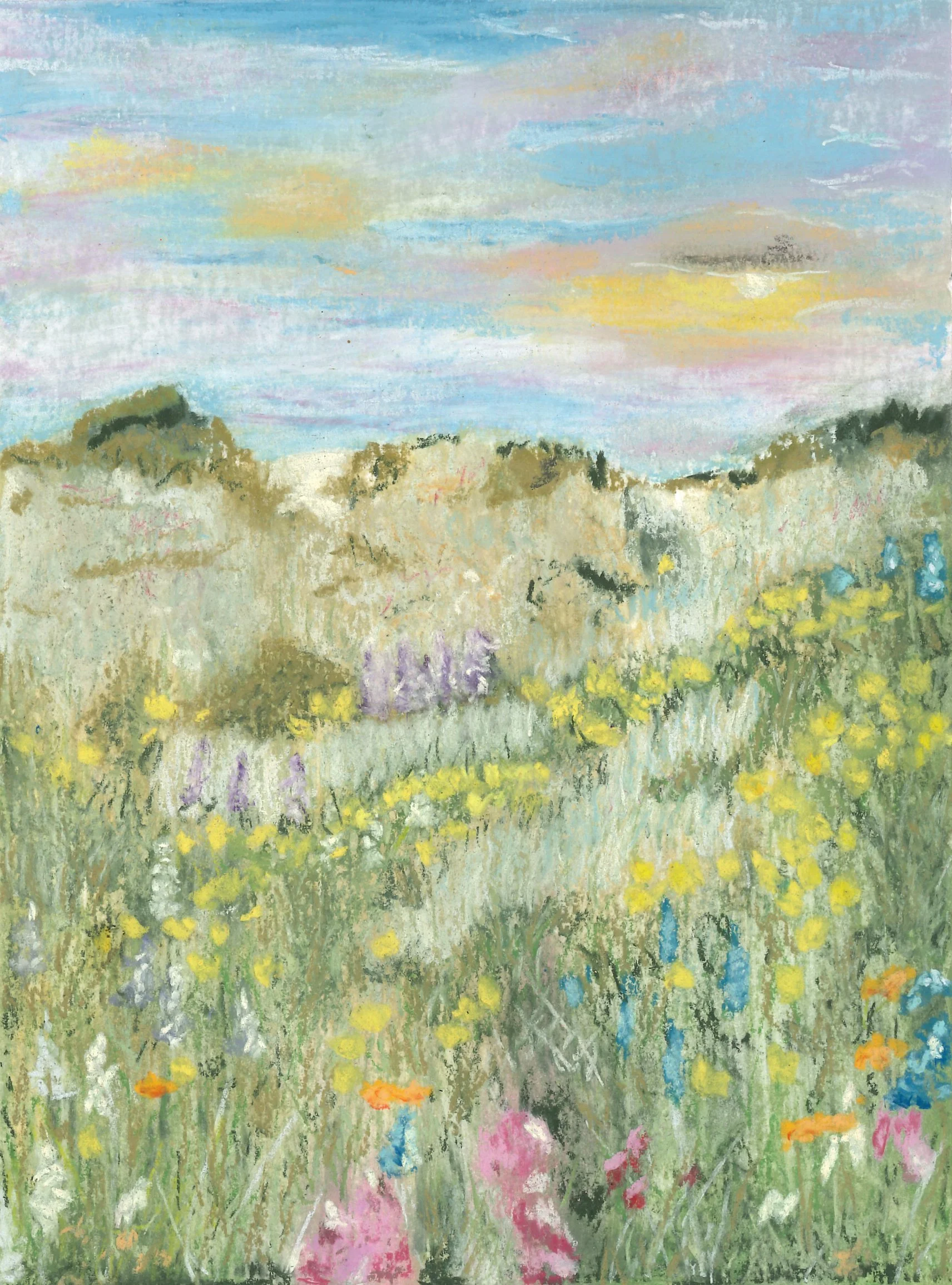 Wildflower Meadow #7