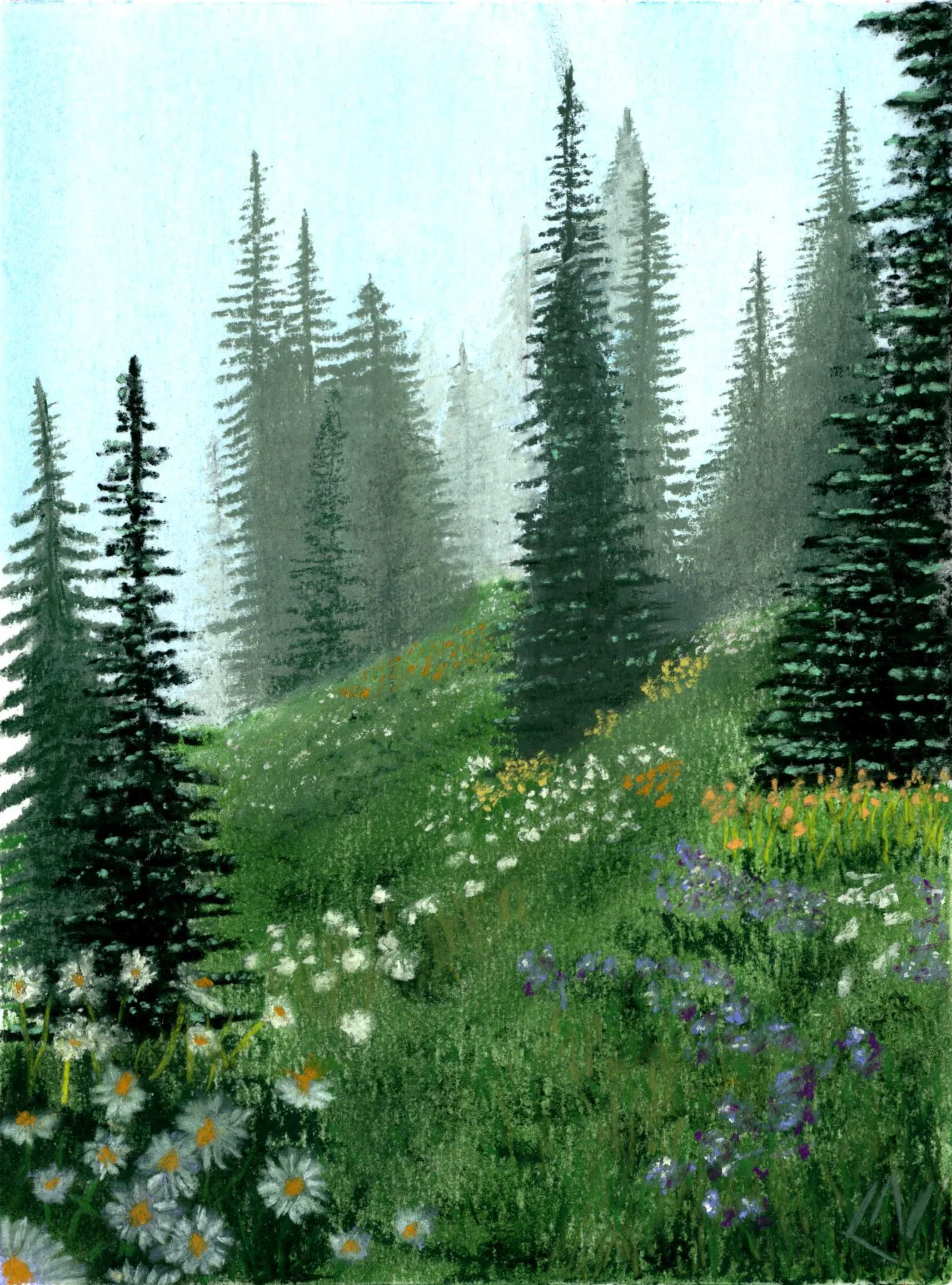 Mountain Meadow Mist