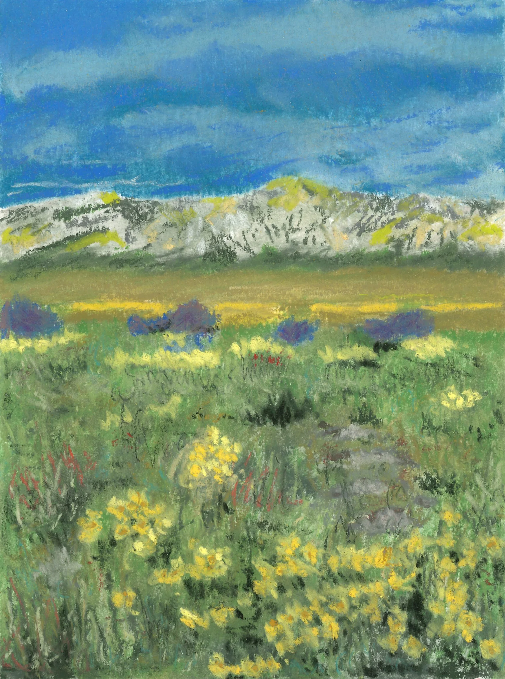 Wildflower Meadow #5