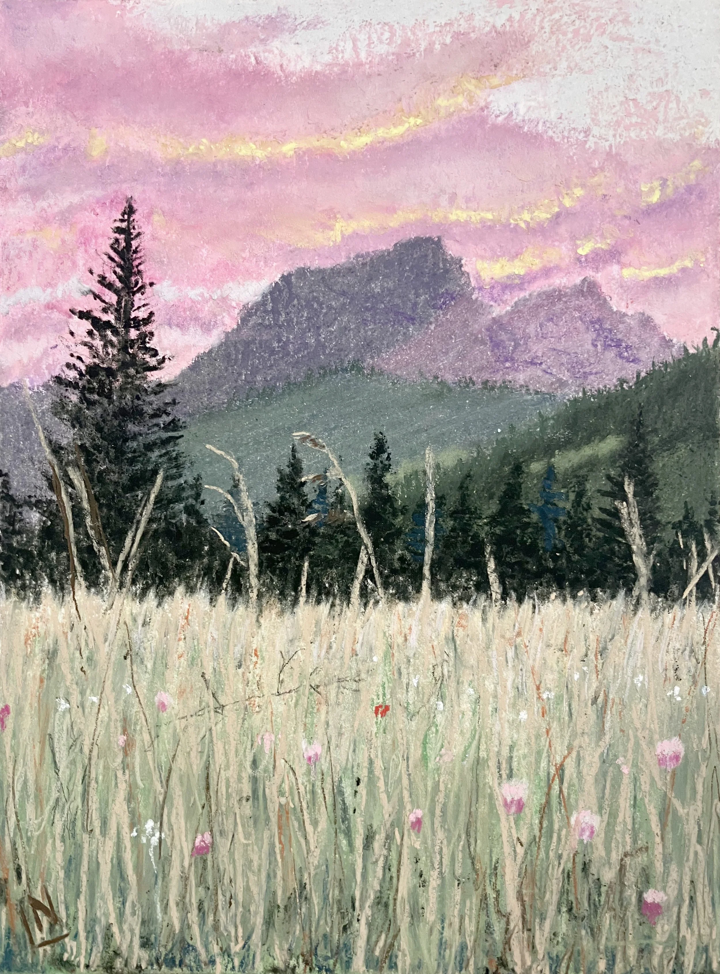 Twilight Mountain Meadow