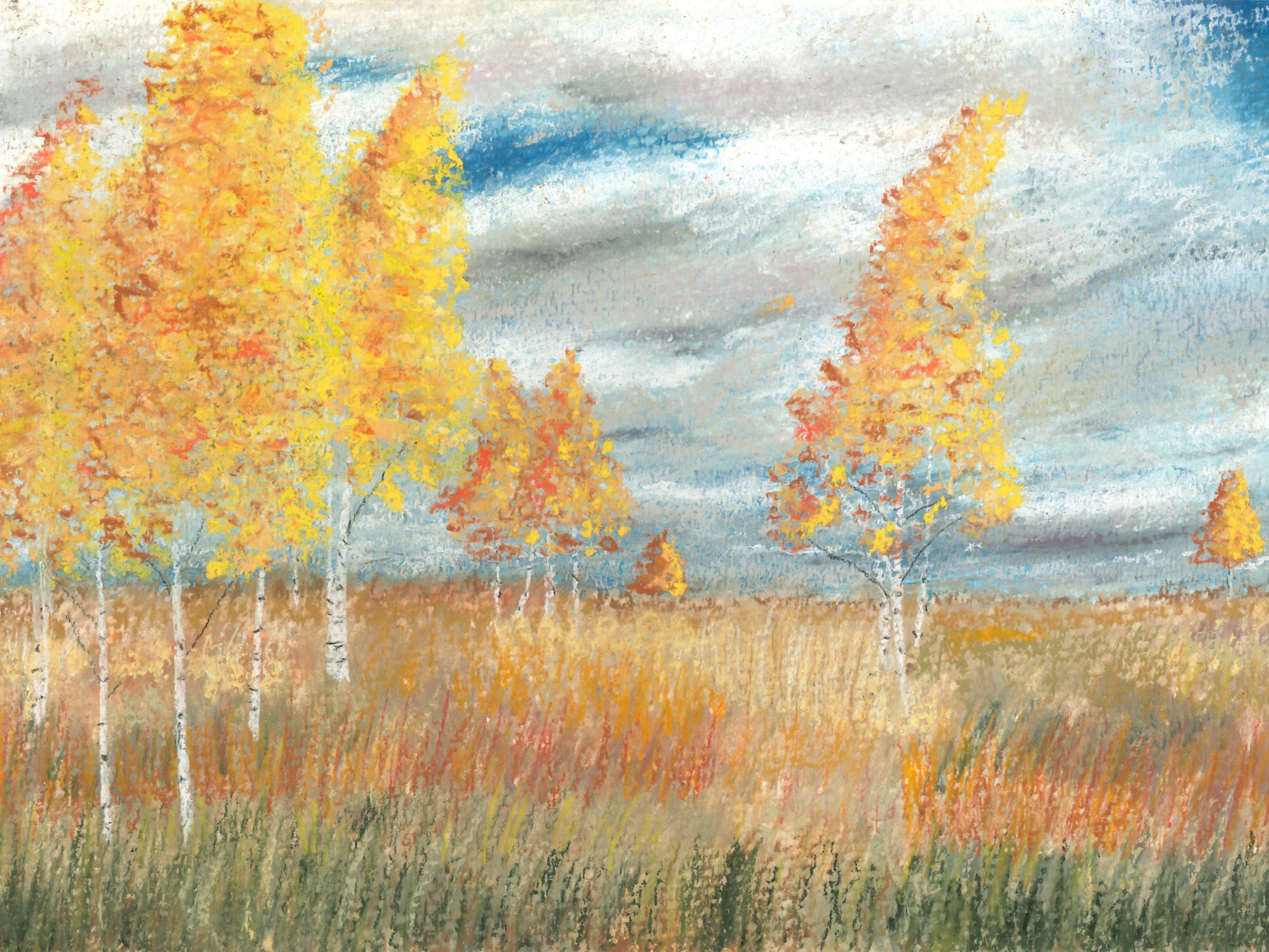 Autumn Aspens