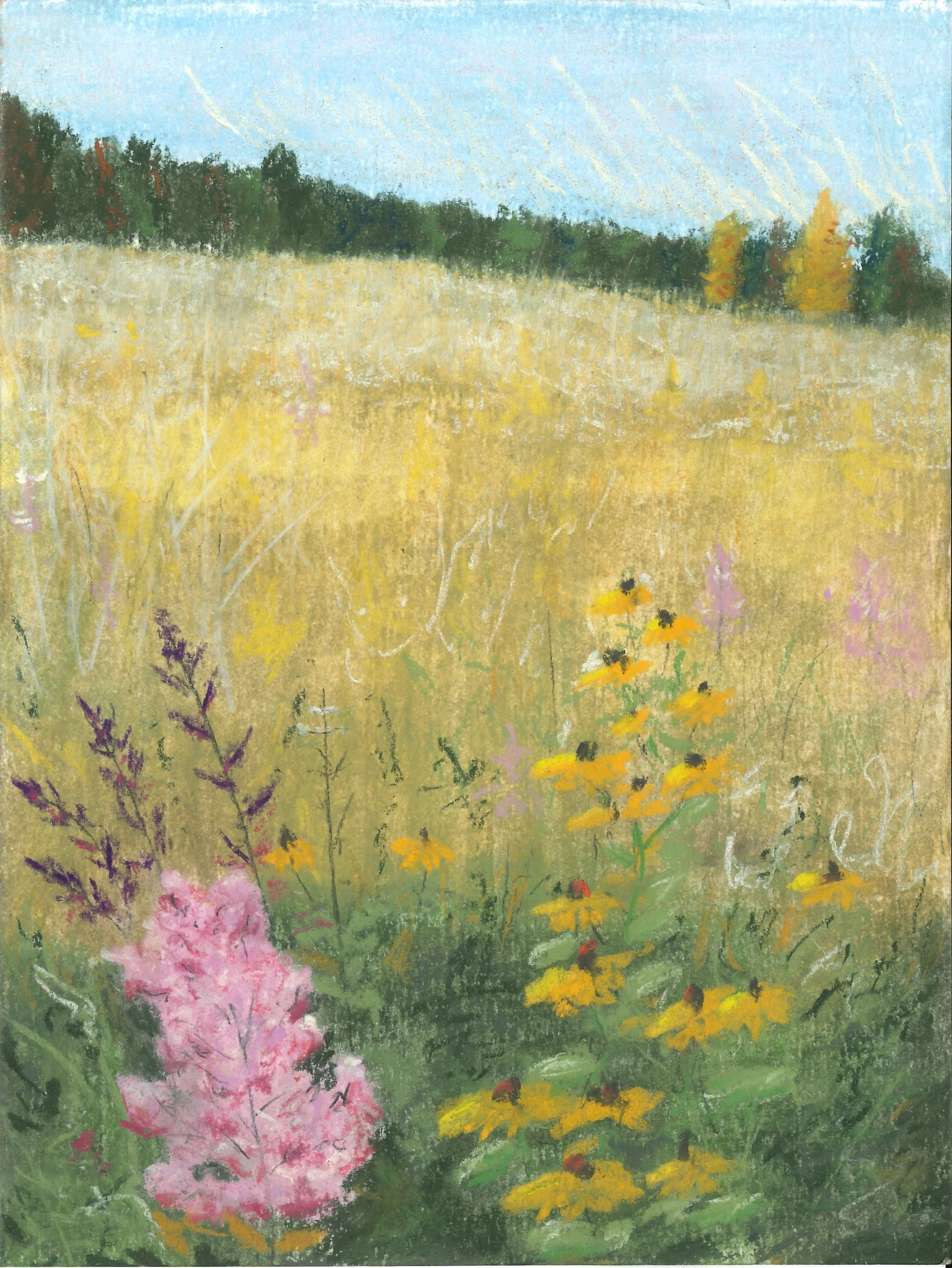 Wildflower Meadow #4