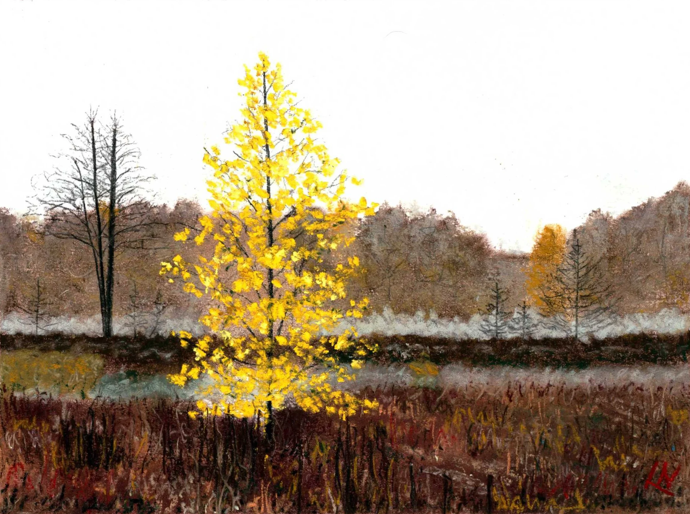 Hope in a Desolate Fall Landscape.jpg