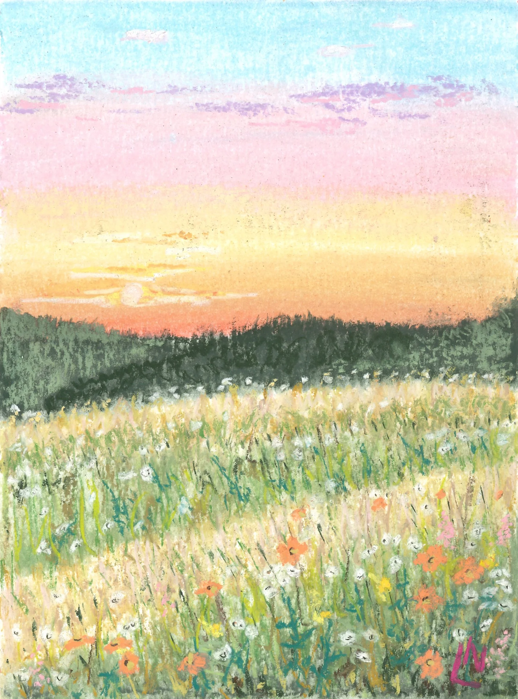 Wildflower Meadow #2