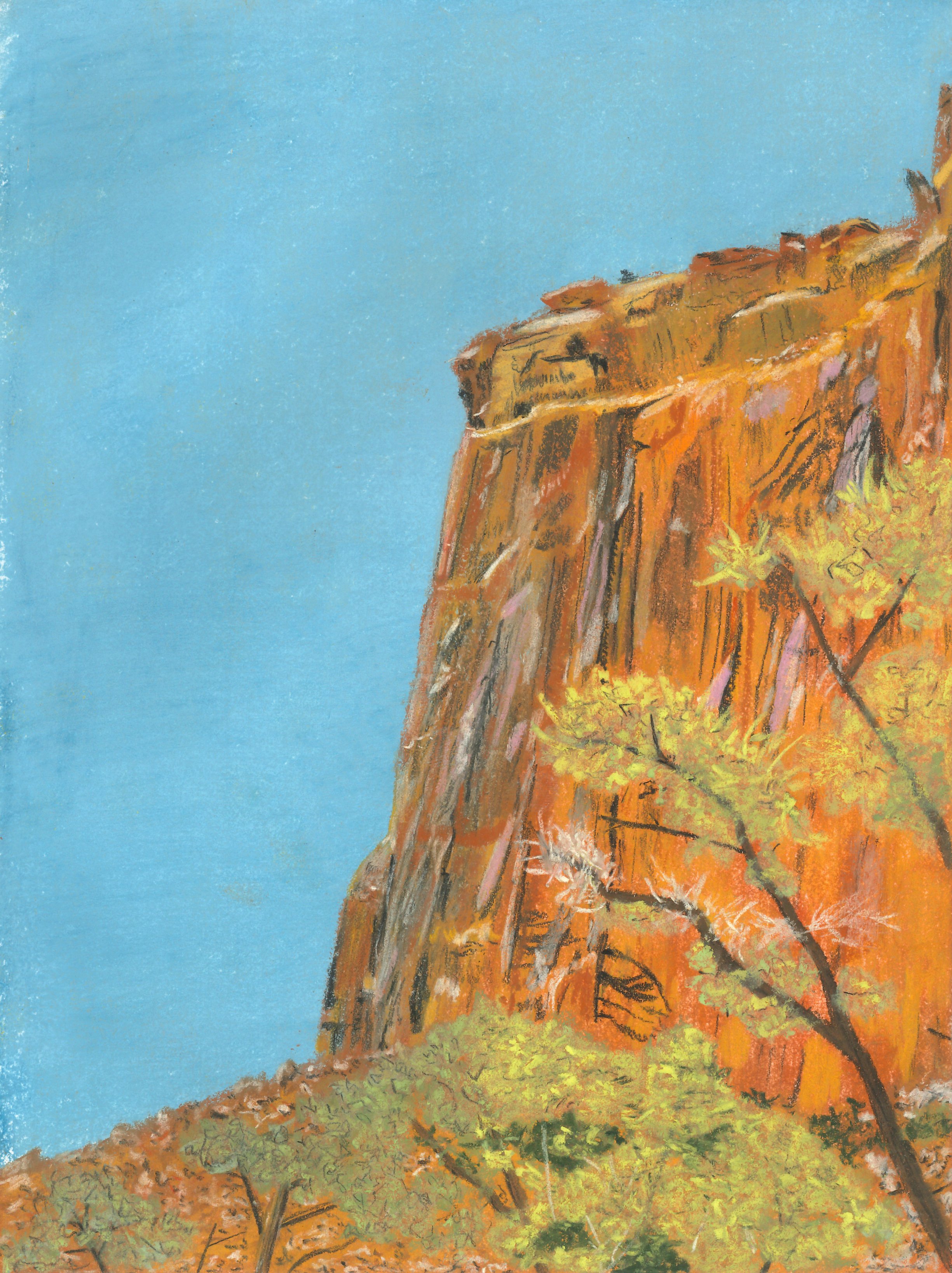 Cliffside - Capital Reef National Park