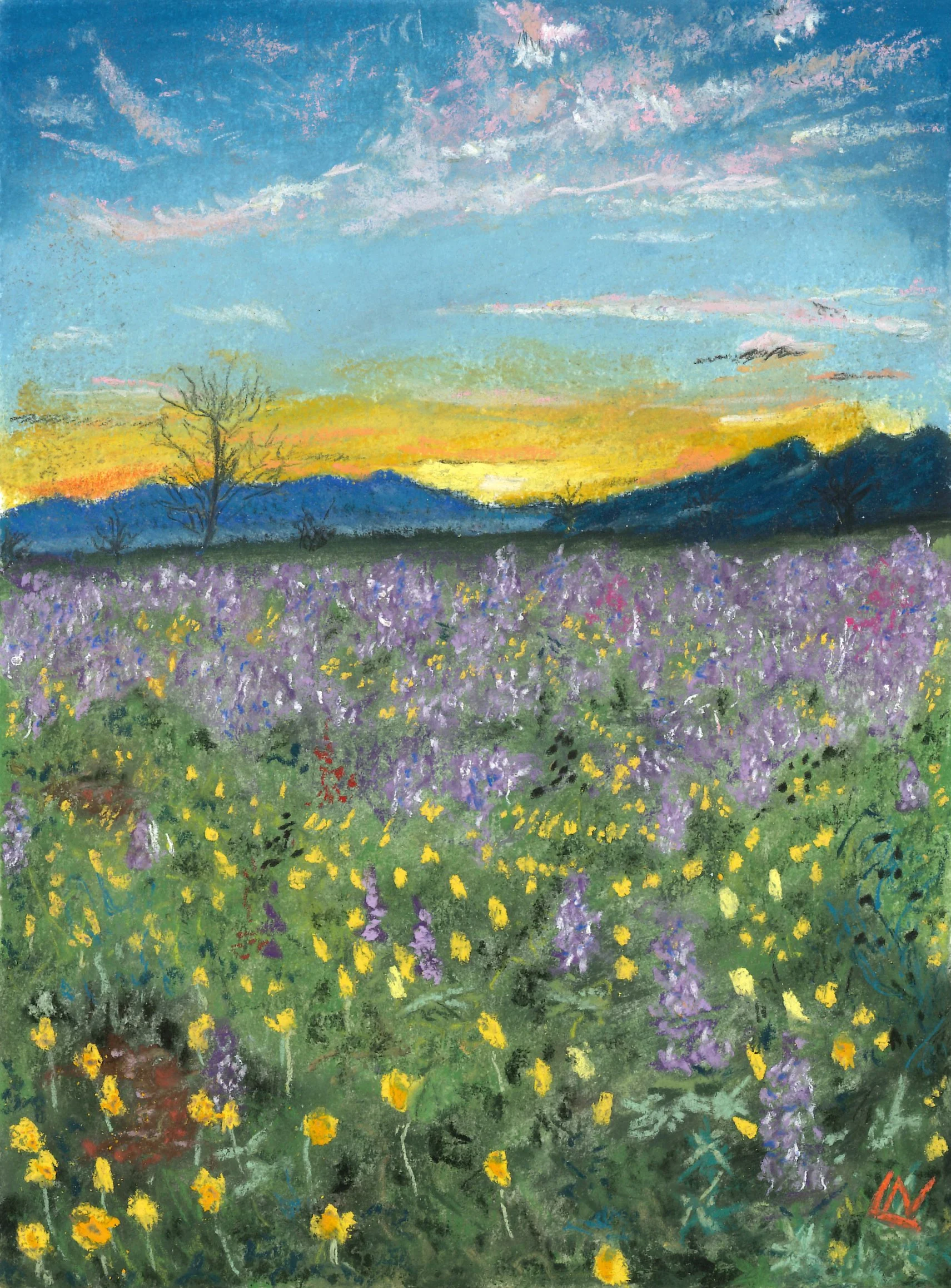 Wildflower Meadow #1