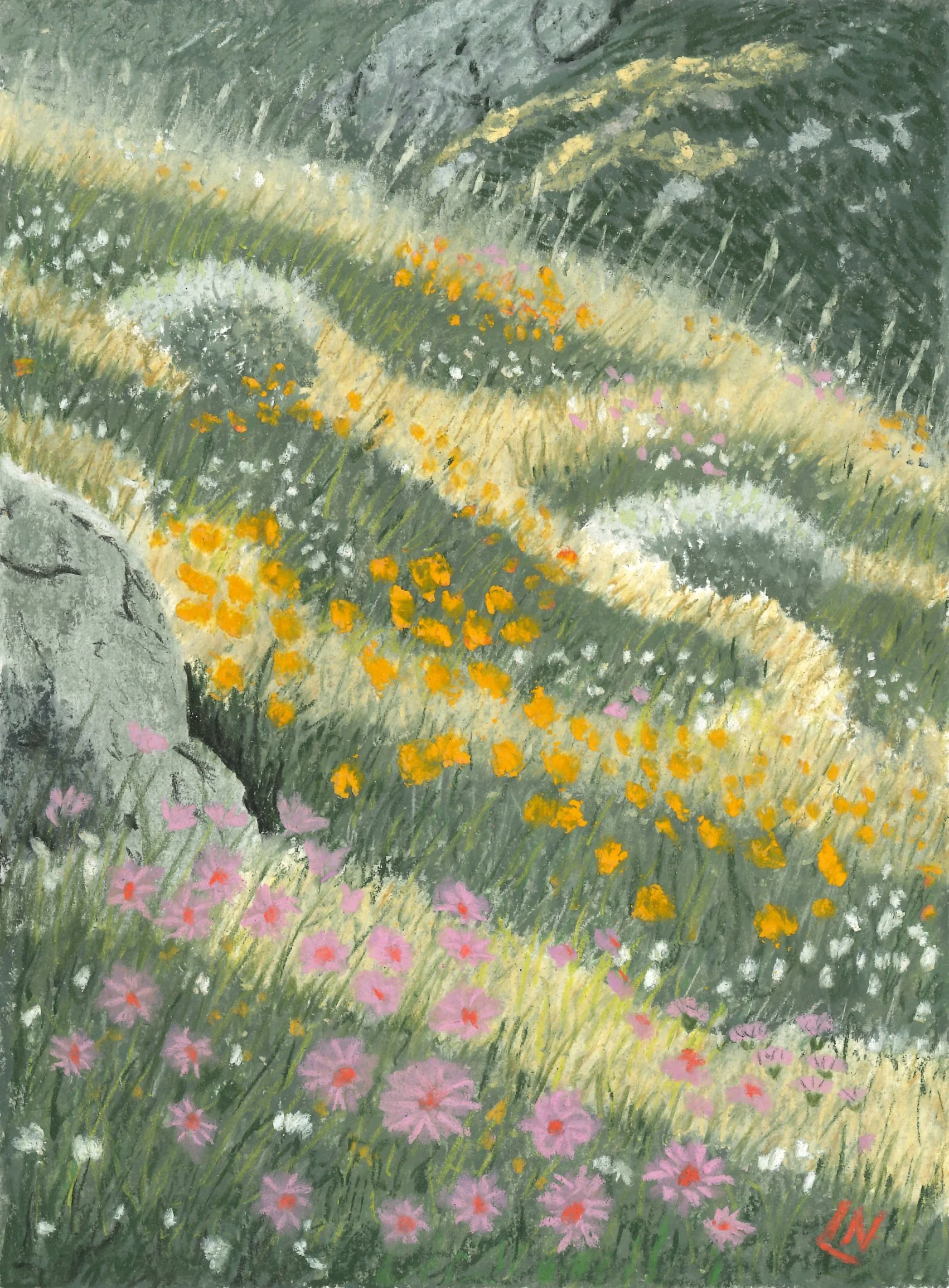 Wildflower Meadow #3