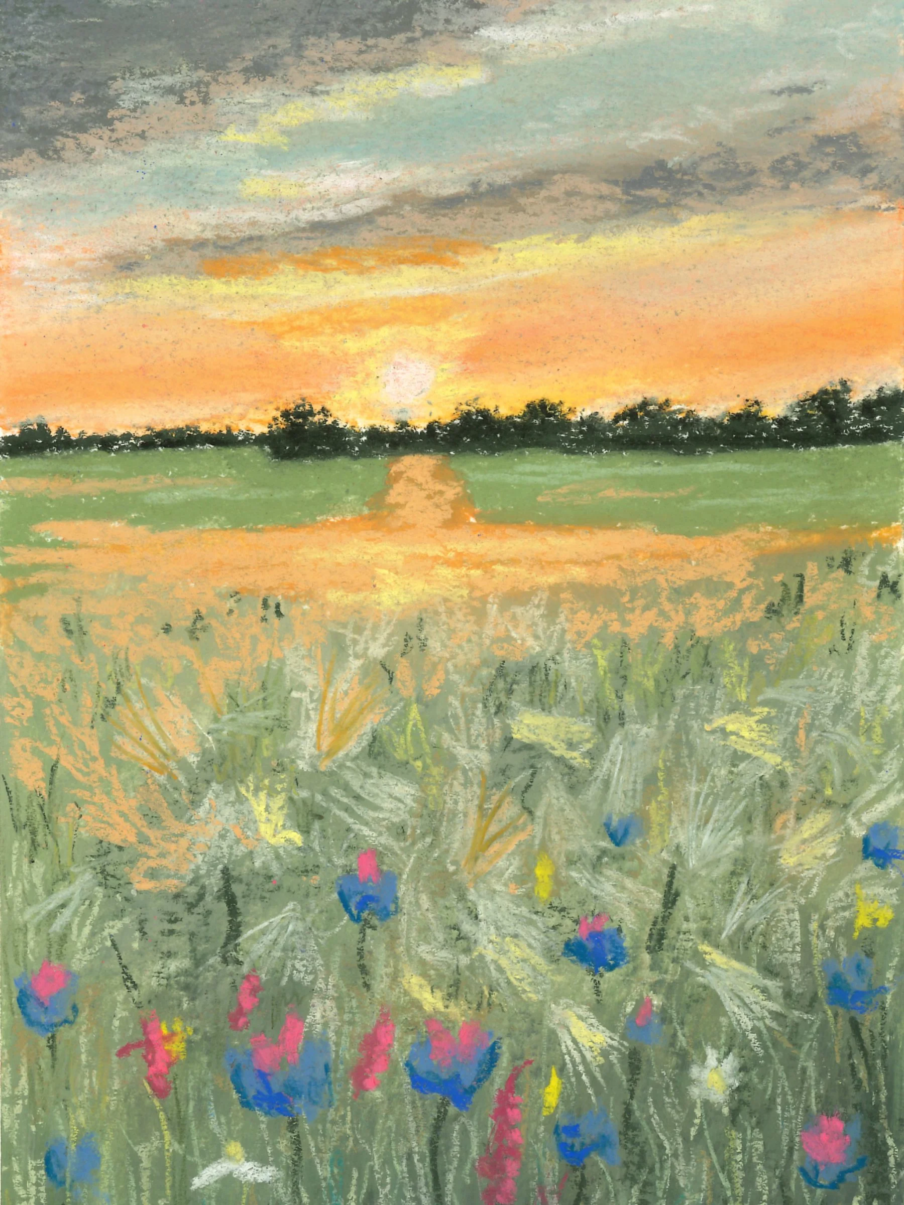 Wildflower Meadow #6