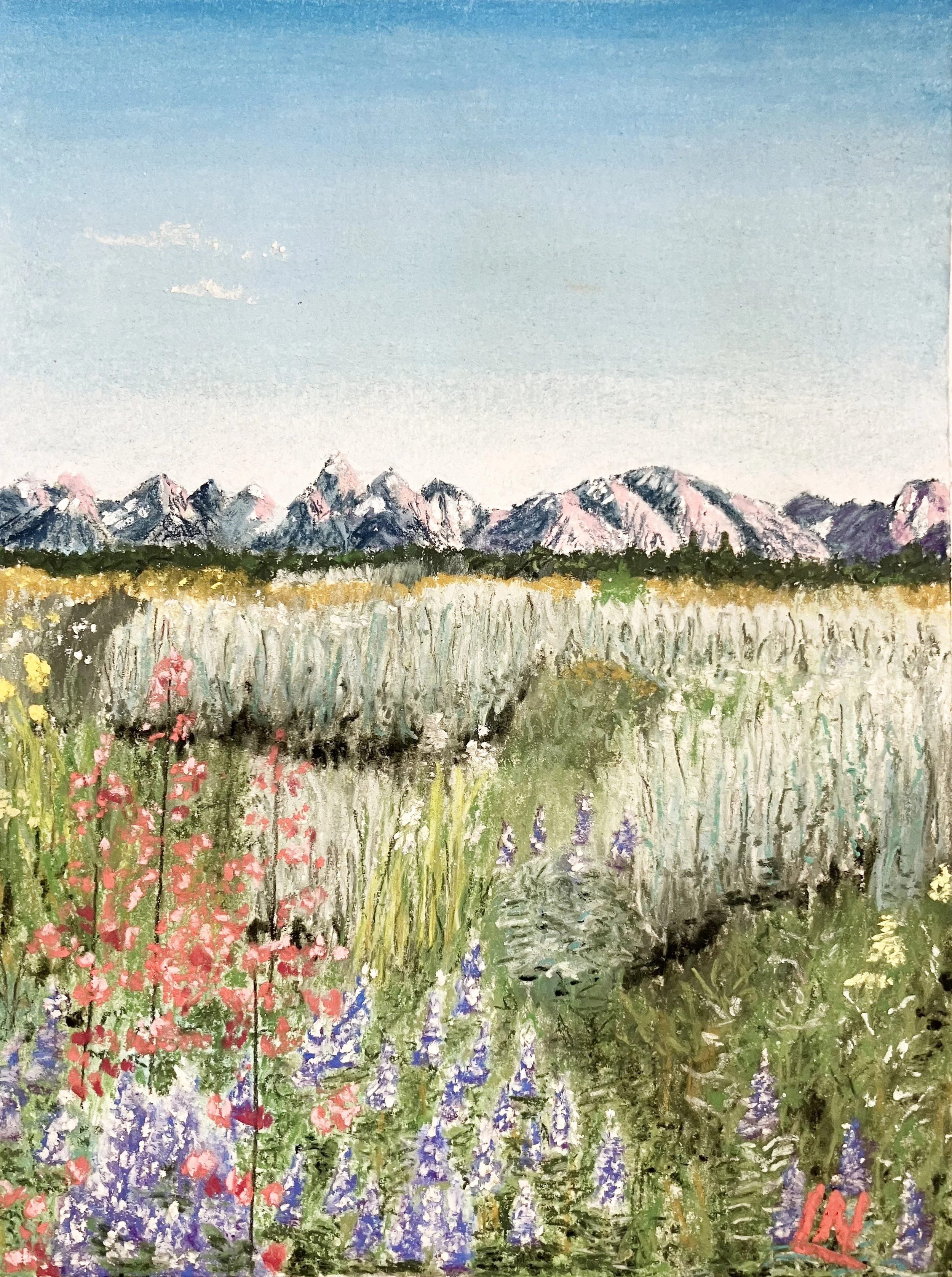 Wildflower Meadow #8