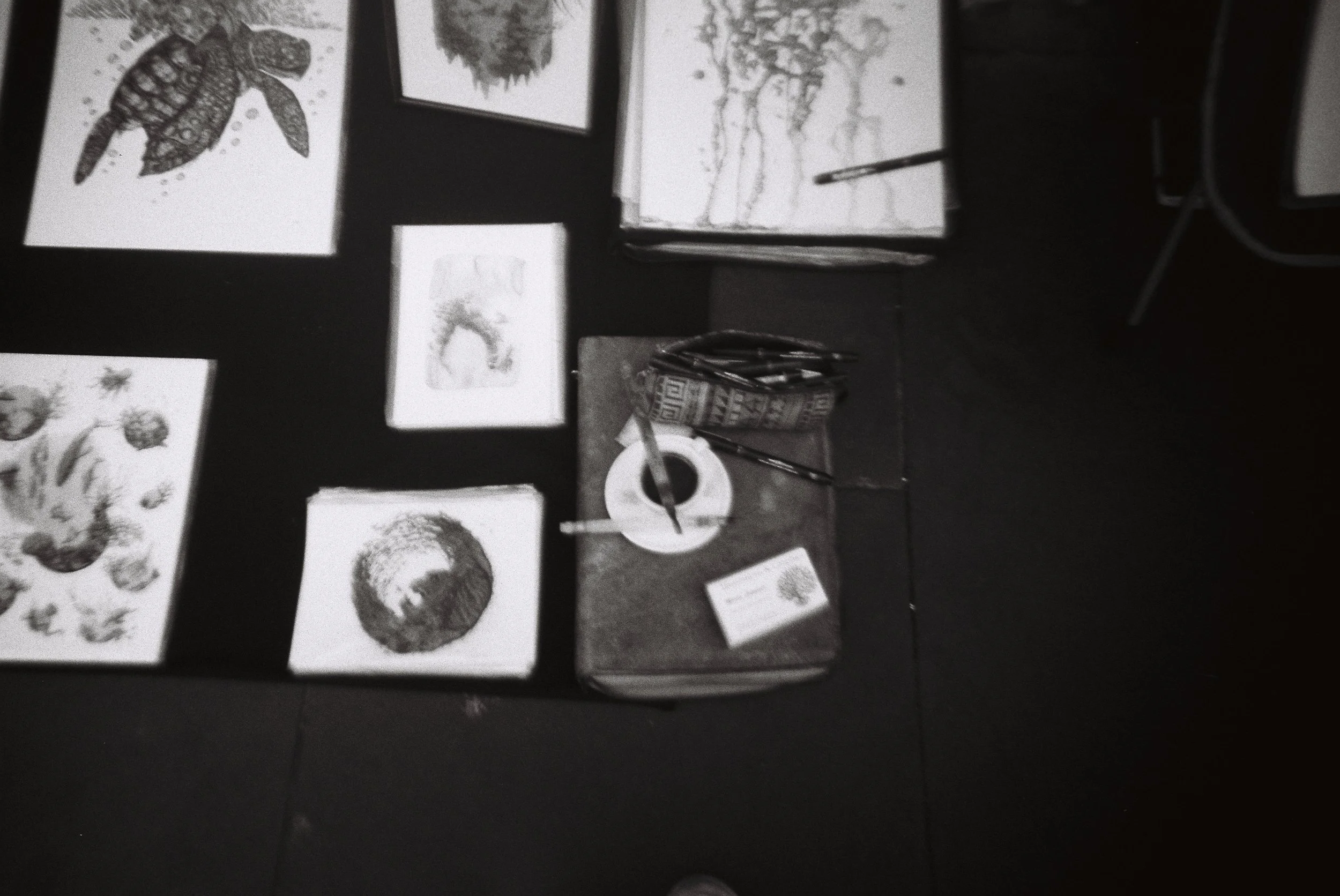 R1-02534-0020.png