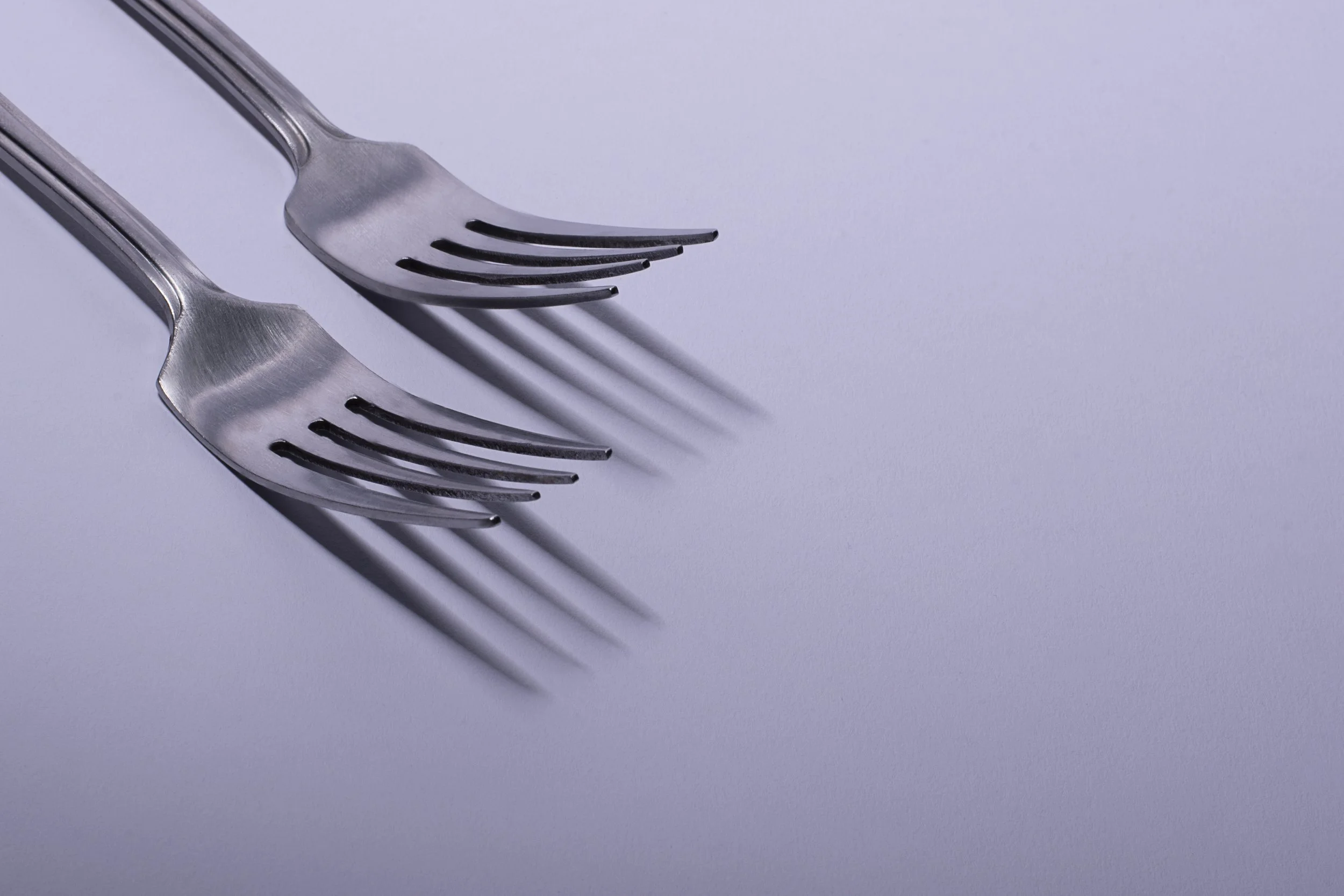 Forks_ Household.jpg
