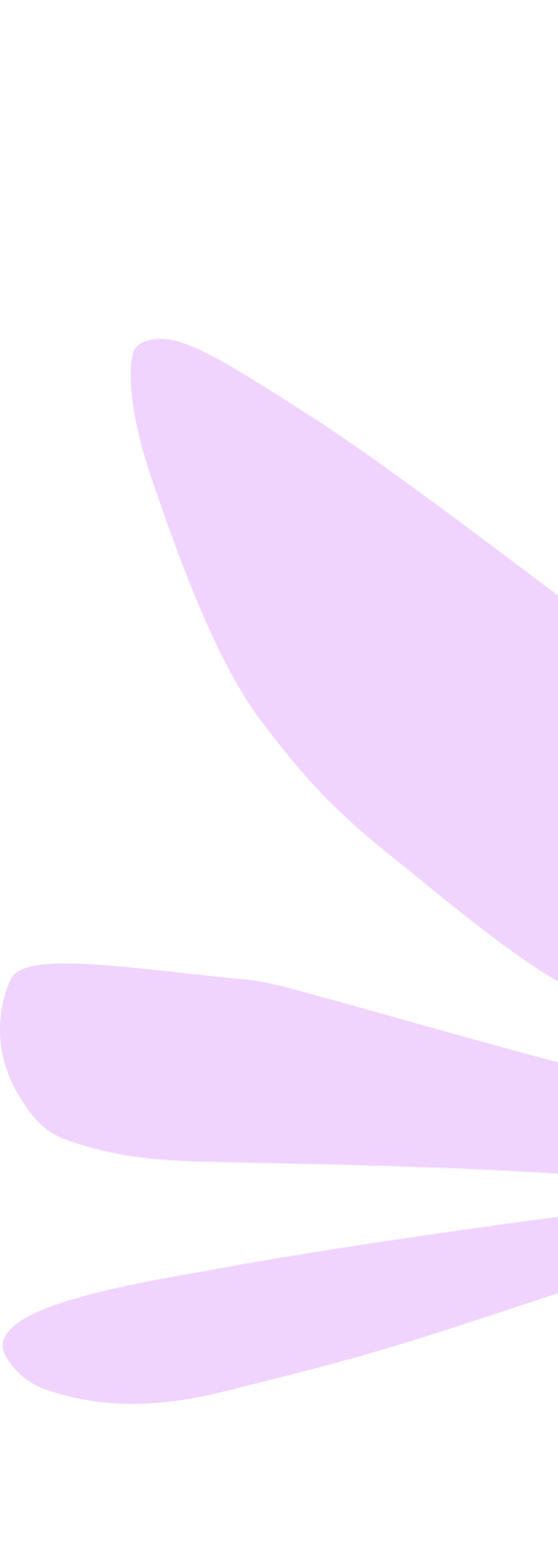 Fleurs stylisées de couleur violette sur fond noir.