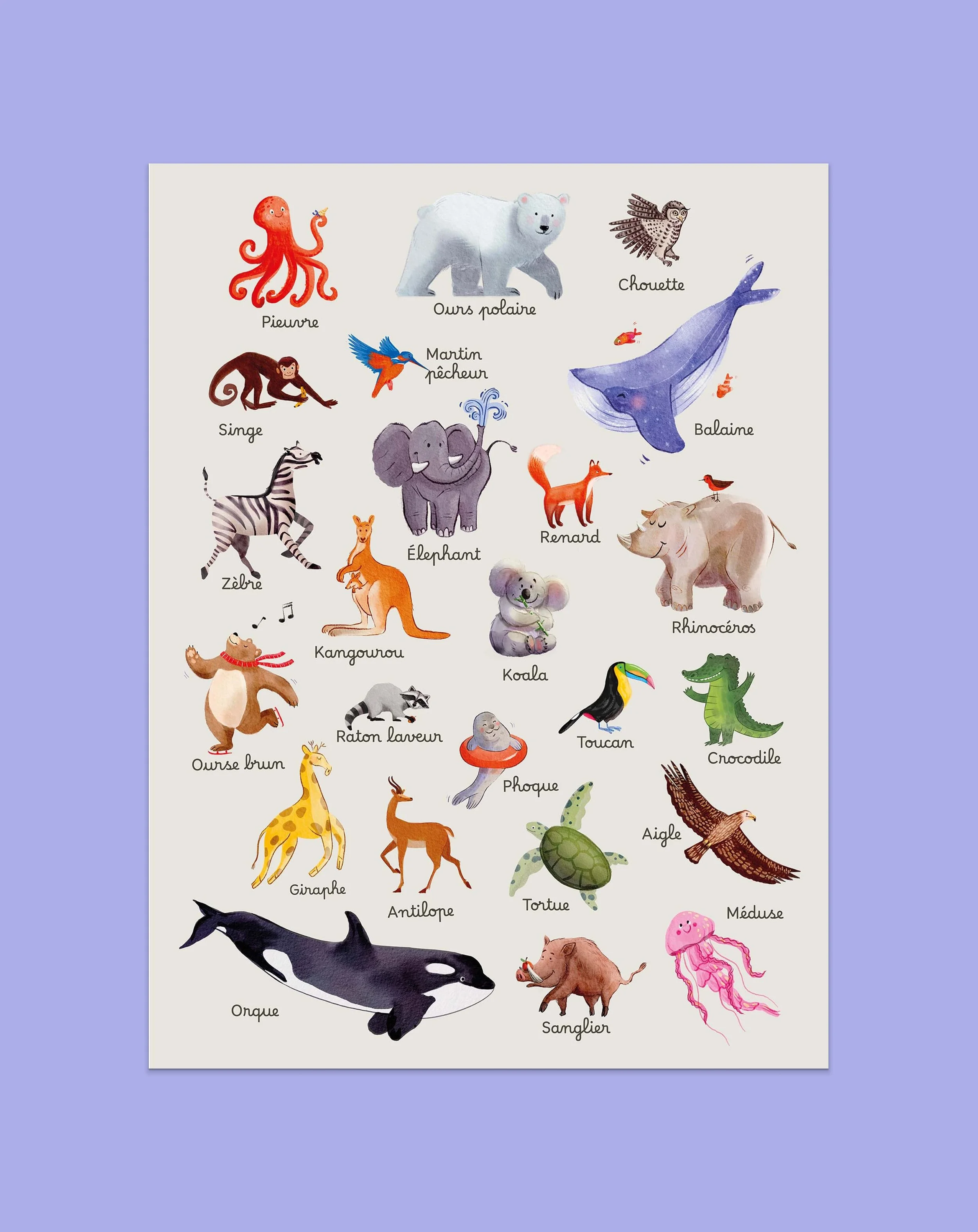 affiche-animaux-monde-illustration-enfant-poster-educatif.jpg