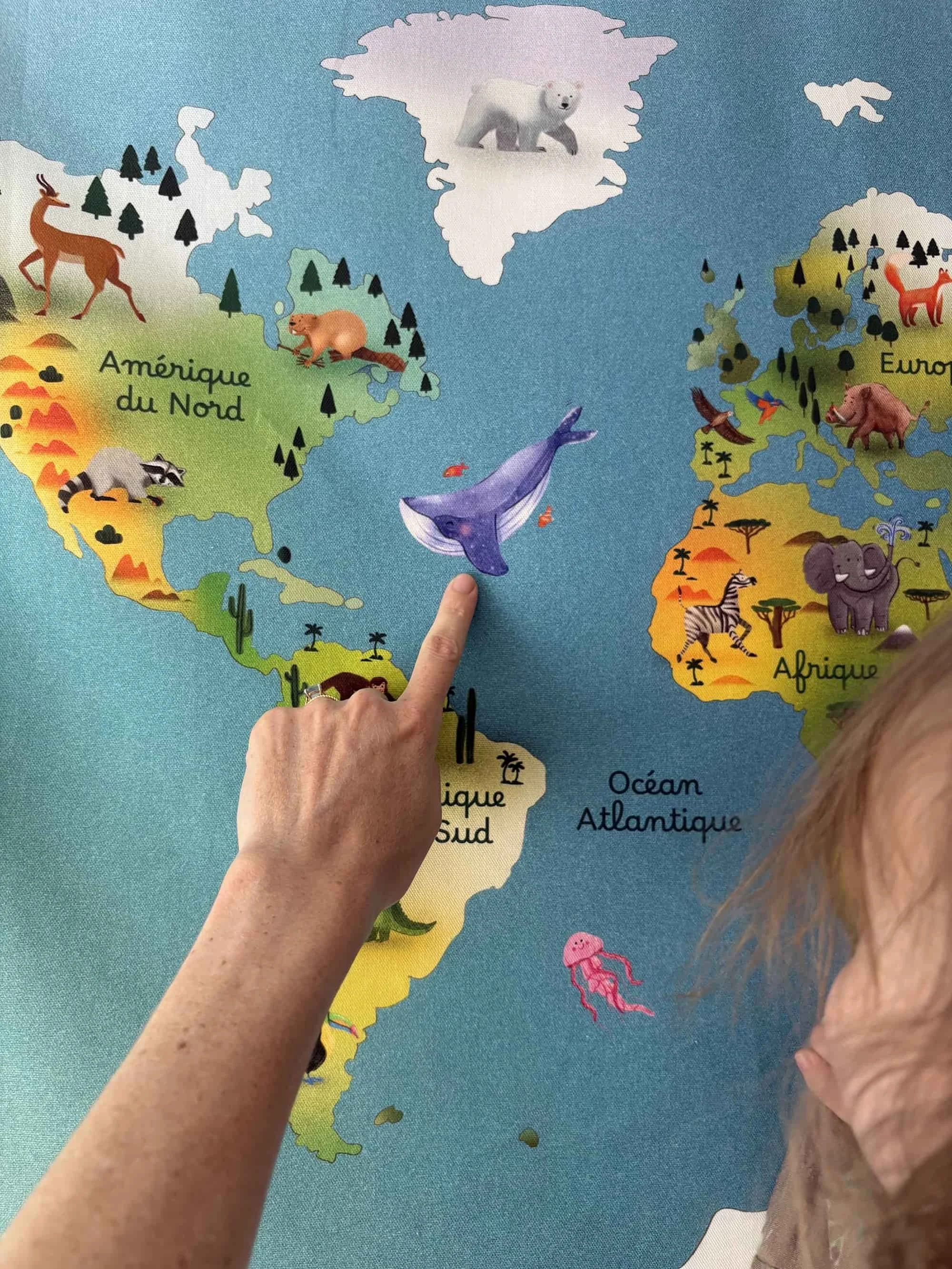 Carte du monde illustrée