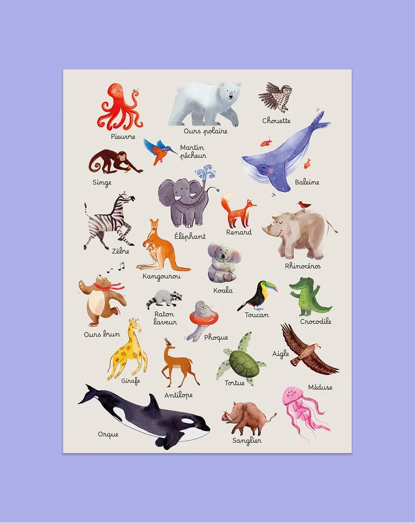 affiche-animaux-monde-illustration-enfant-poster-educatif.jpg